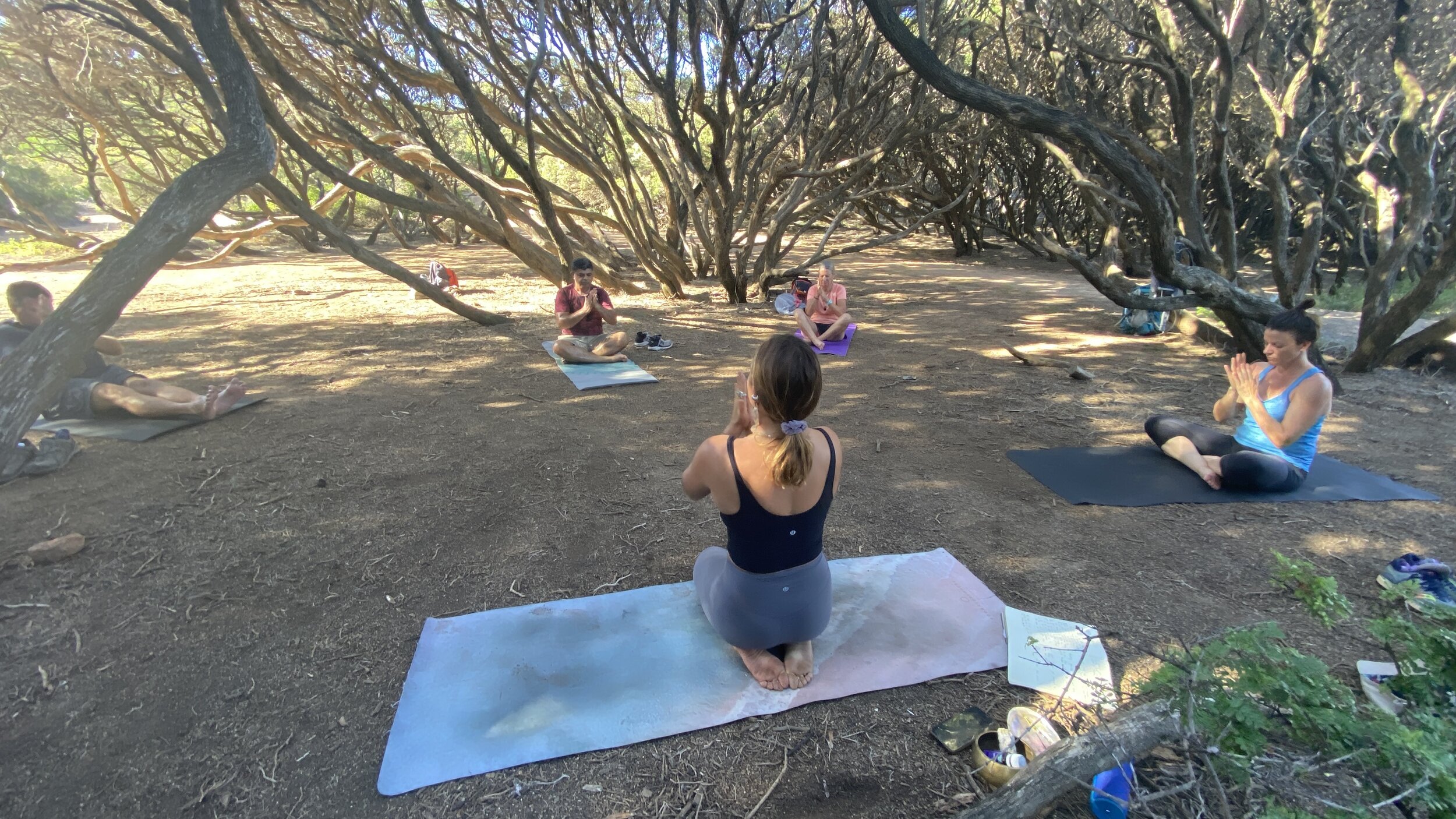 Edgewalkers Cape to Cape Walking and Yoga Mini-Retreat