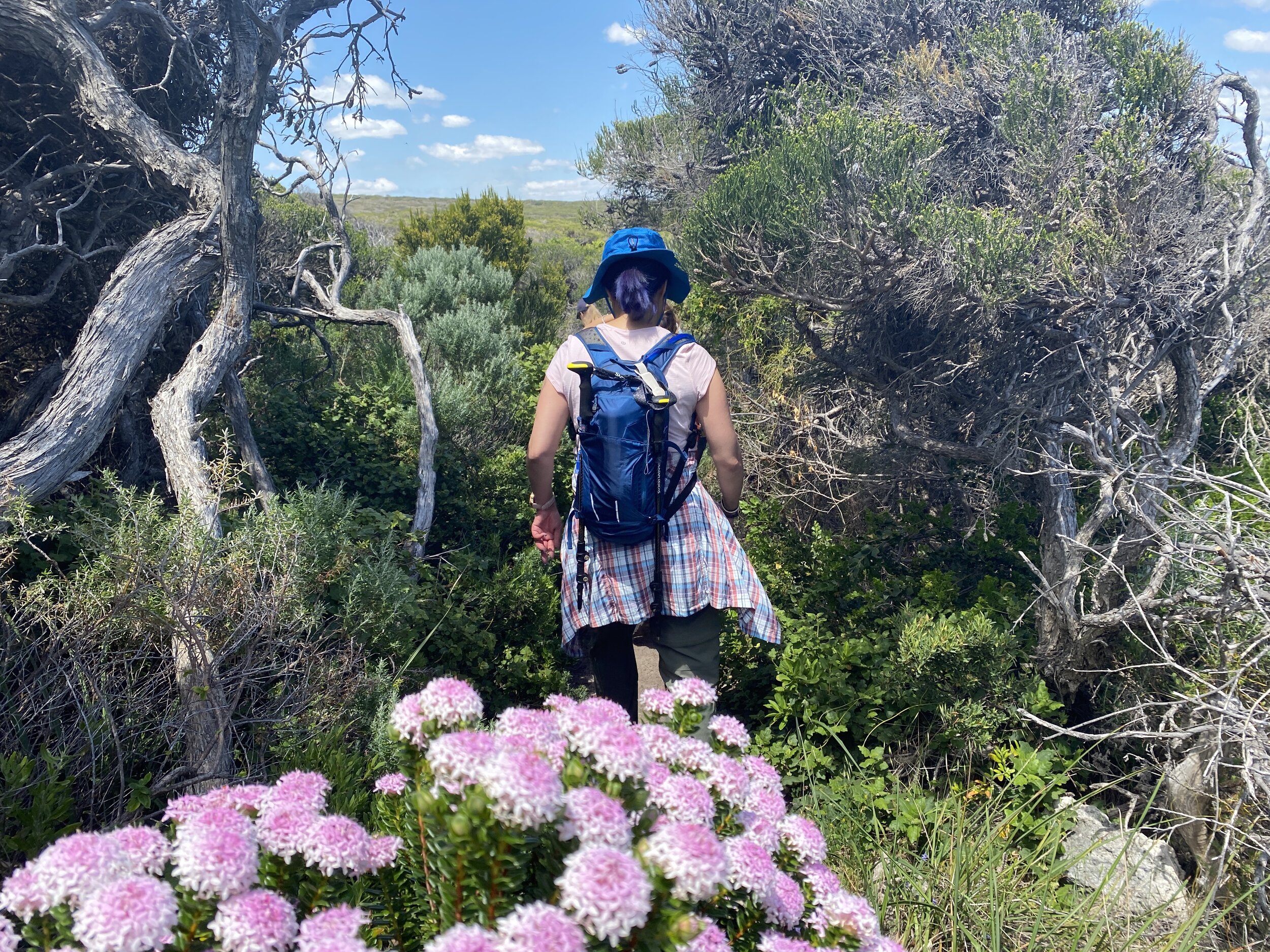 Edgewalkers Walking Yoga and Plant-Based Cooking Retreat