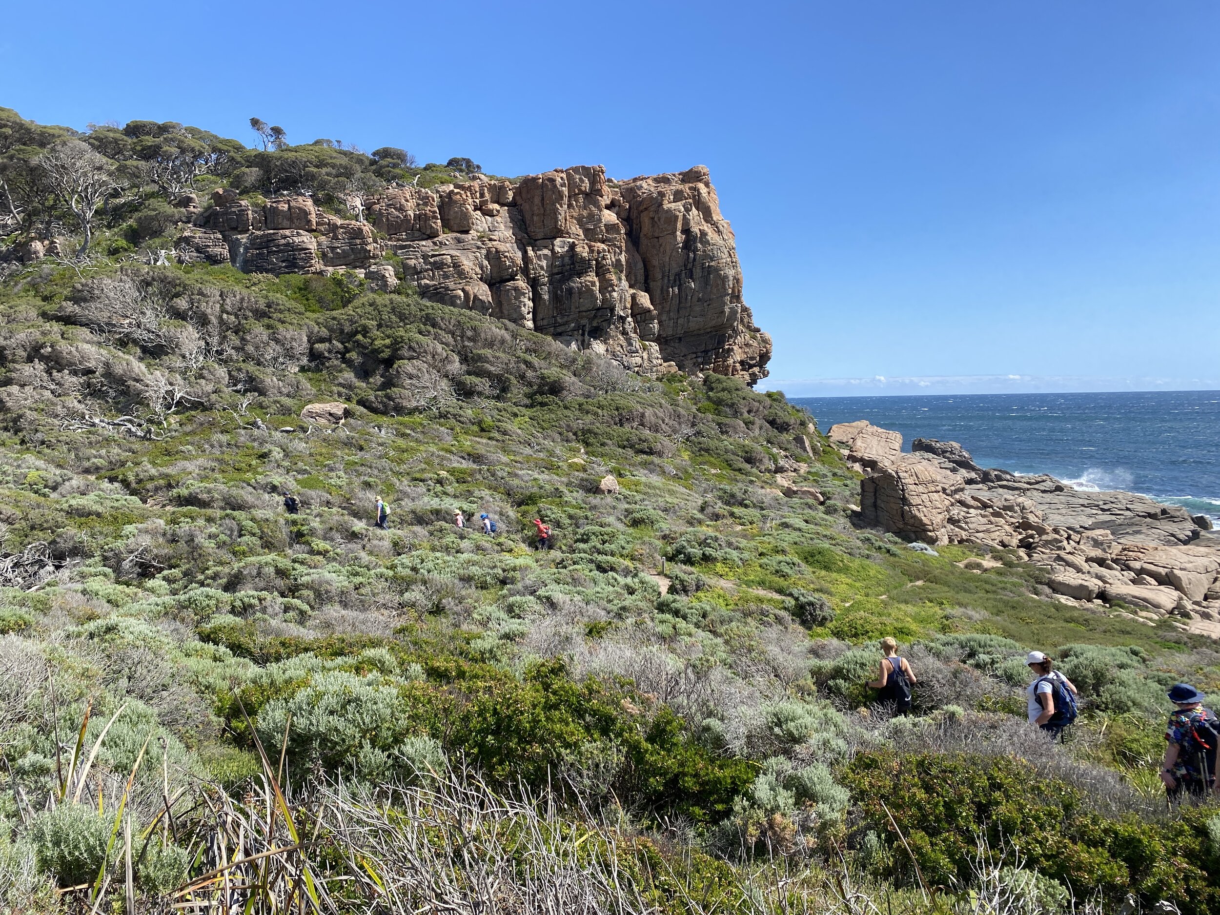 Edgewalkers Walking Yoga and Plant-Based Cooking Retreat