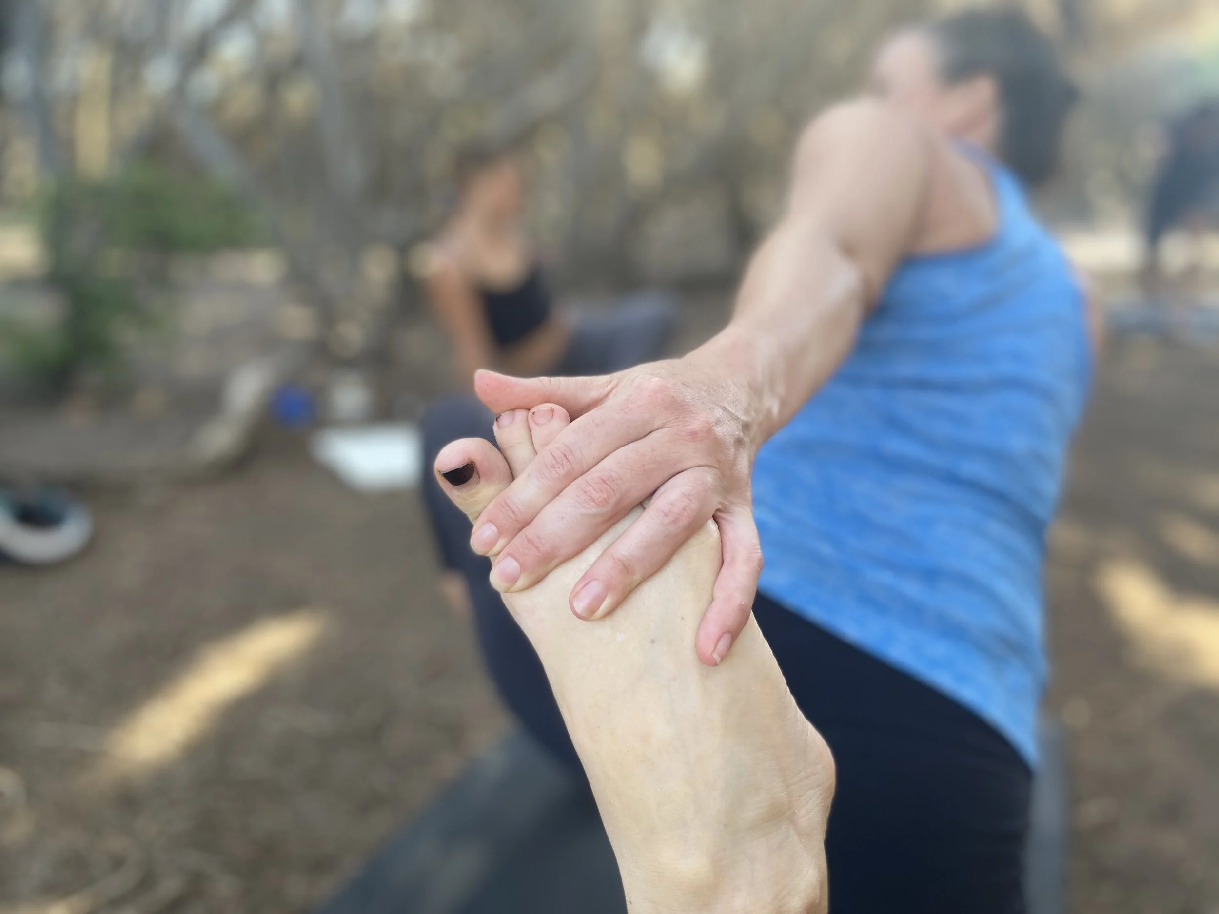Walking and Yoga Weekend Nov 12 - 14 2021