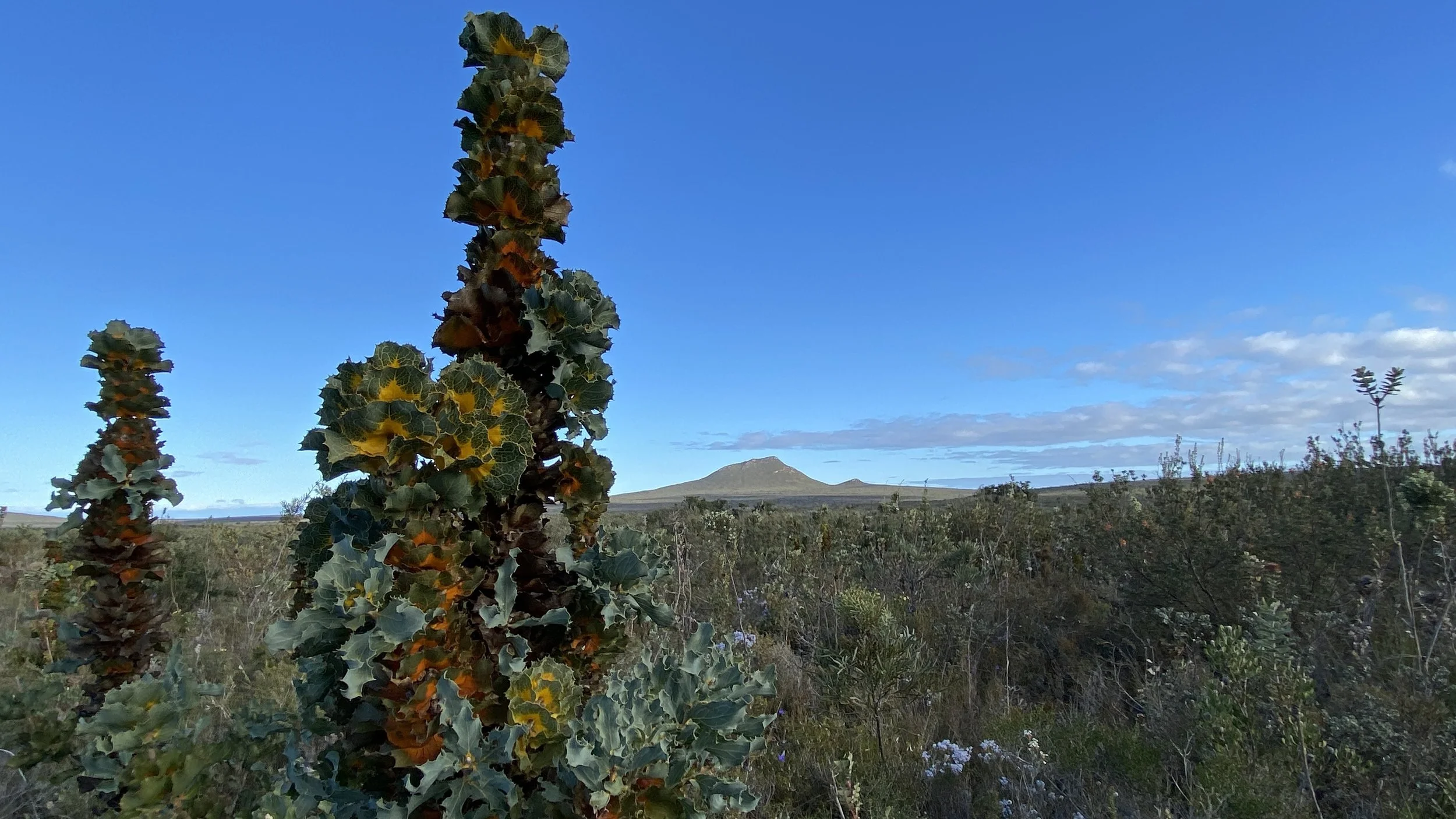 A walk through the Fitzgerald Biosphere