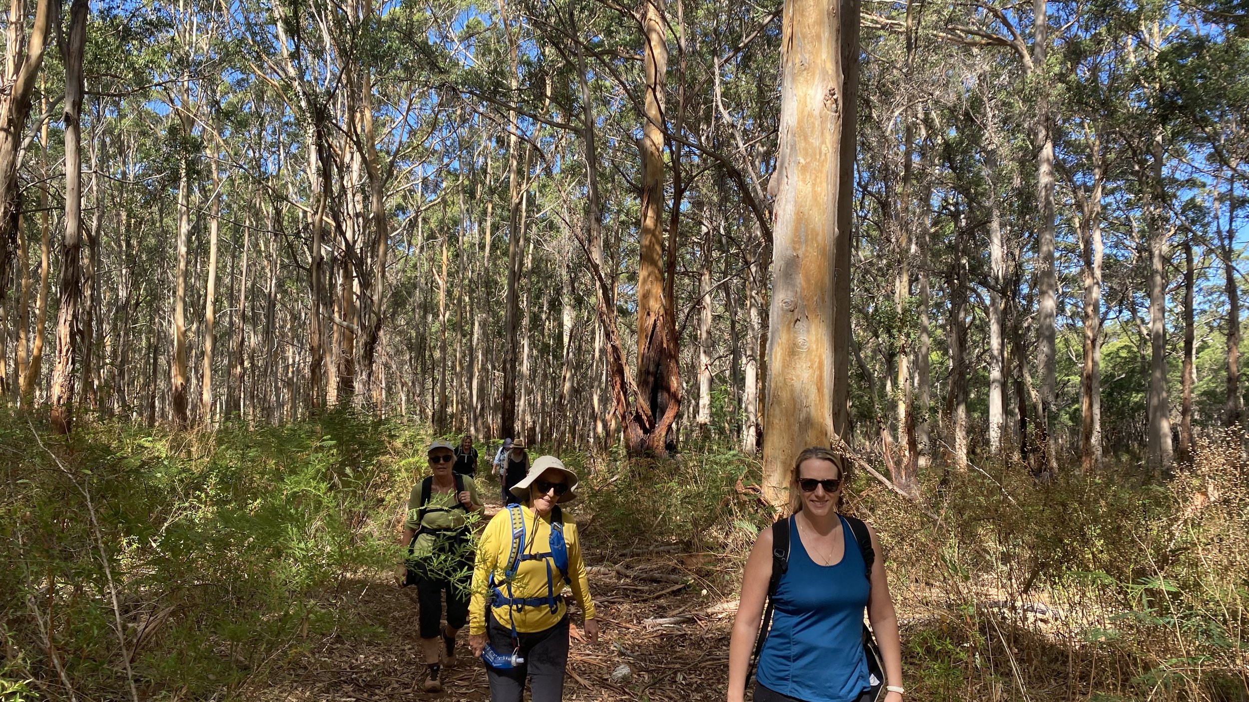 Women's Walking and Writing Retreat with Dr. Erika Jacobson