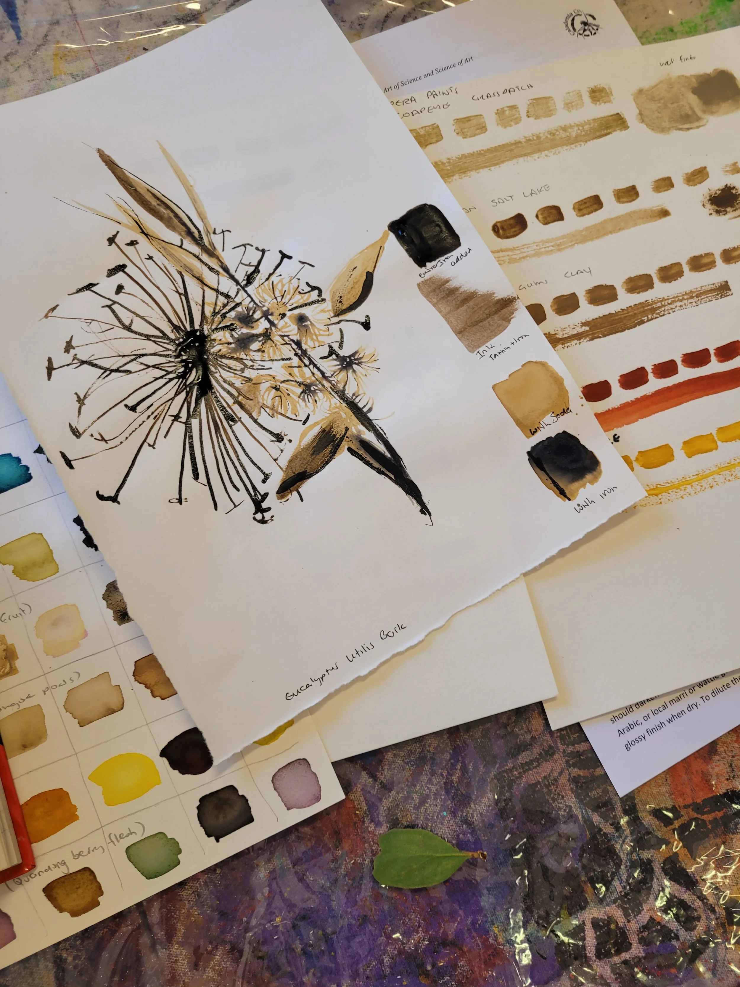 Helen Coleman Dyes 2 2.jpg