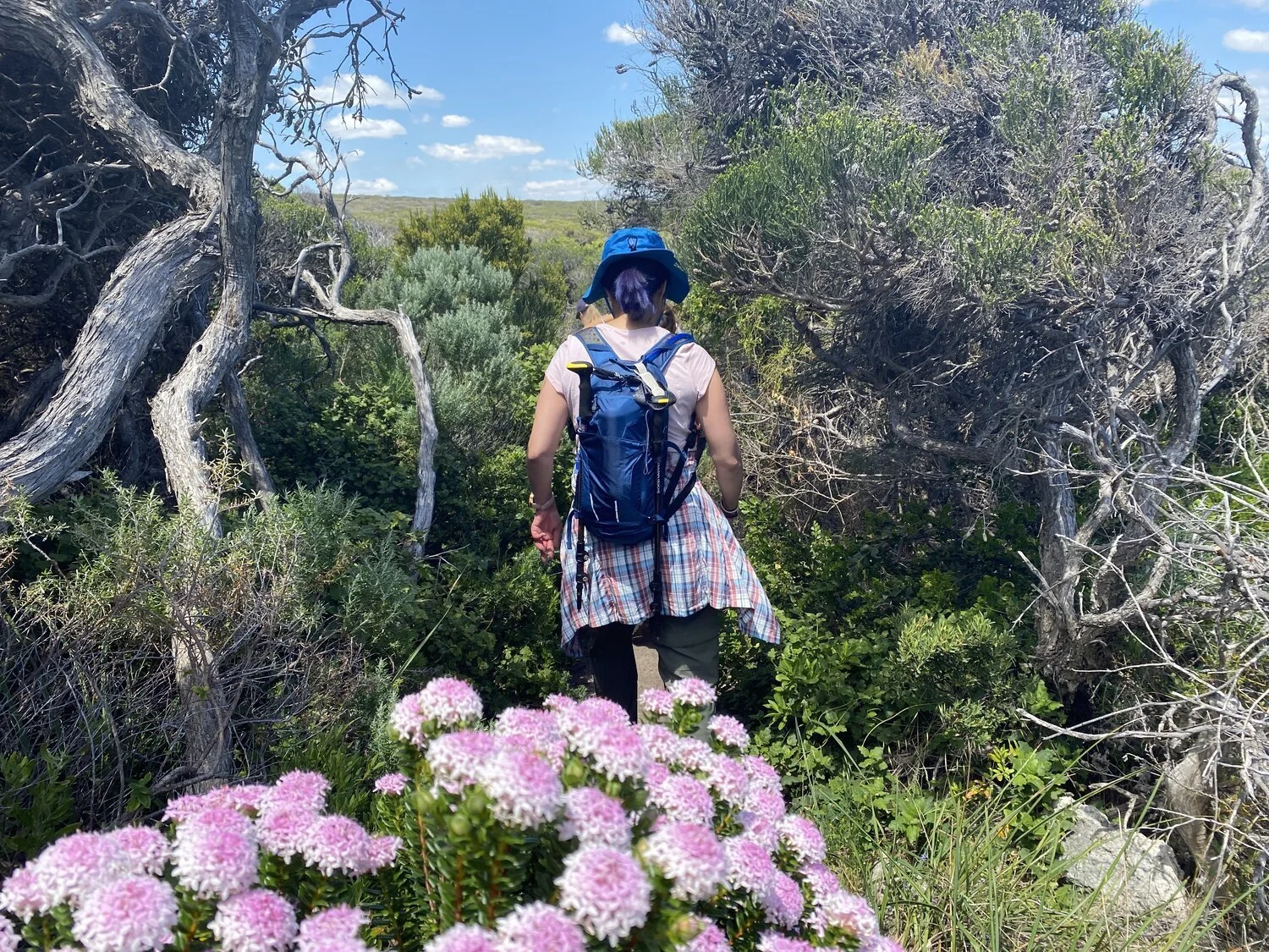 Cape to Cape Walking and Yoga Mini-Retreat March 2024 - 4