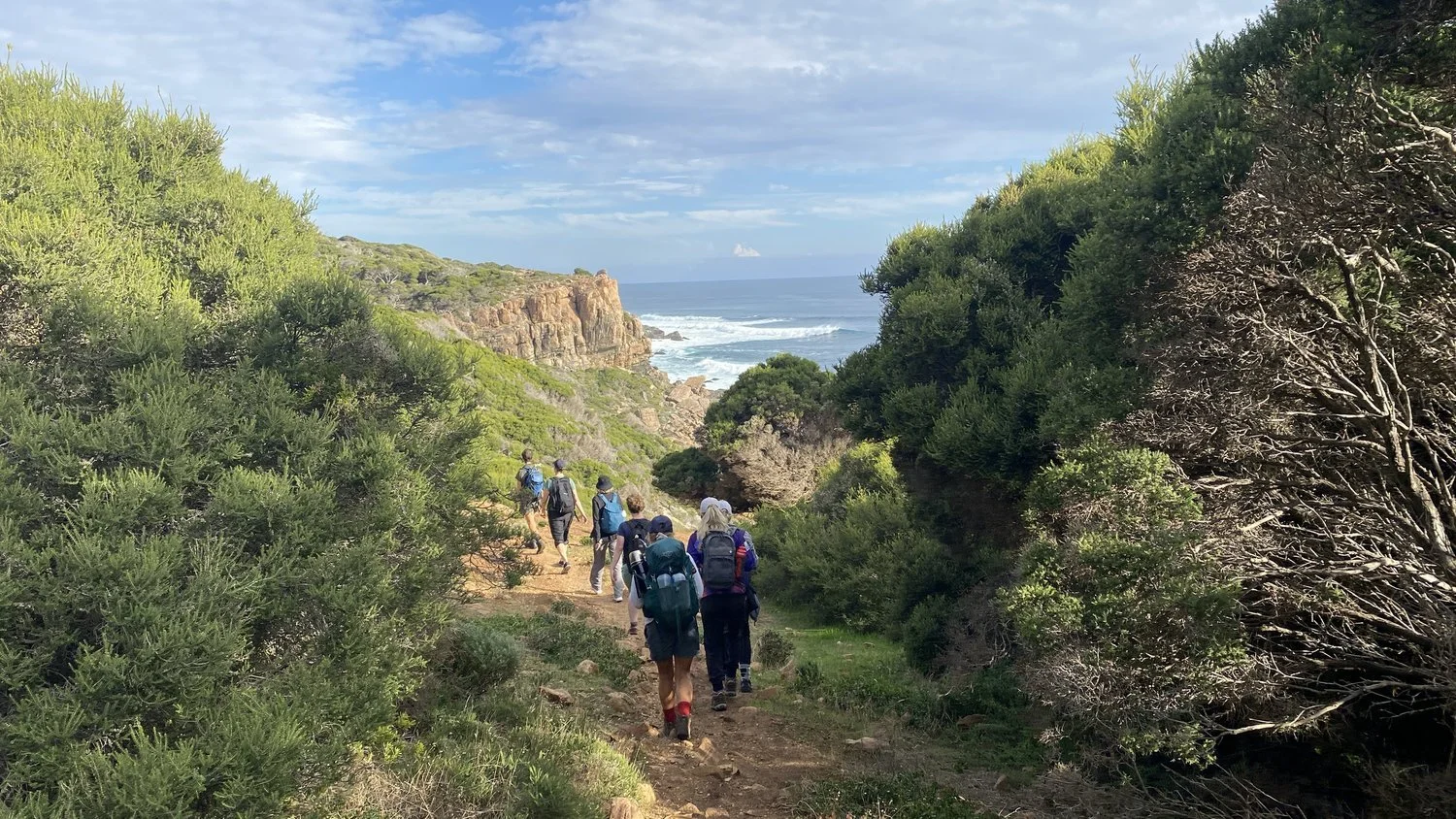 Walking Yoga and Plant Based Cooking Retreat May 2024