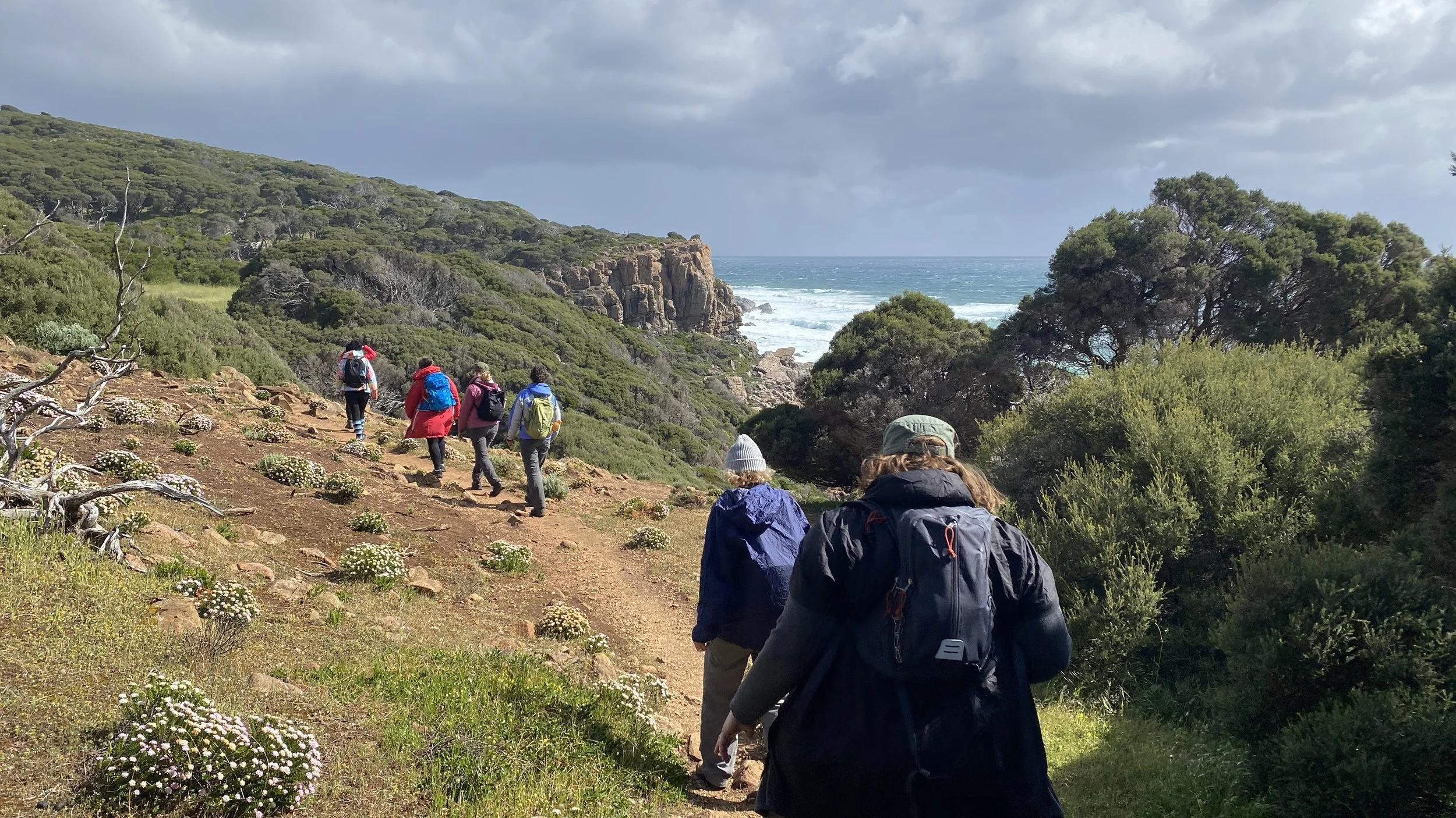 The Creativity Retreat with Dr. Erika Jacobson  November 2023