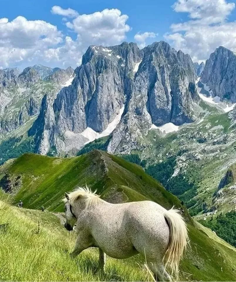Peaks of the Balkans 2023 1004.jpg
