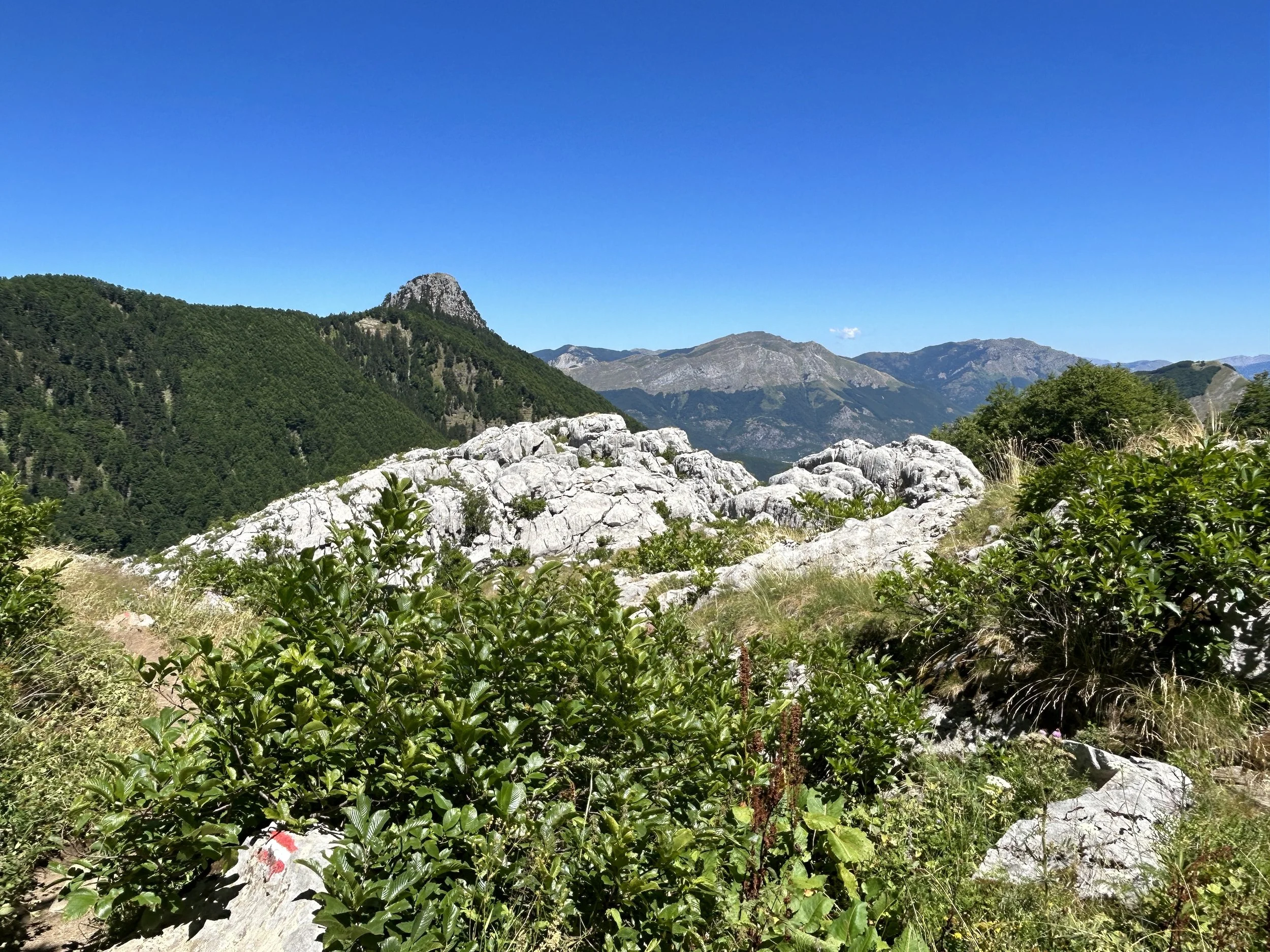 Peaks of the Balkans 2023 40.JPG