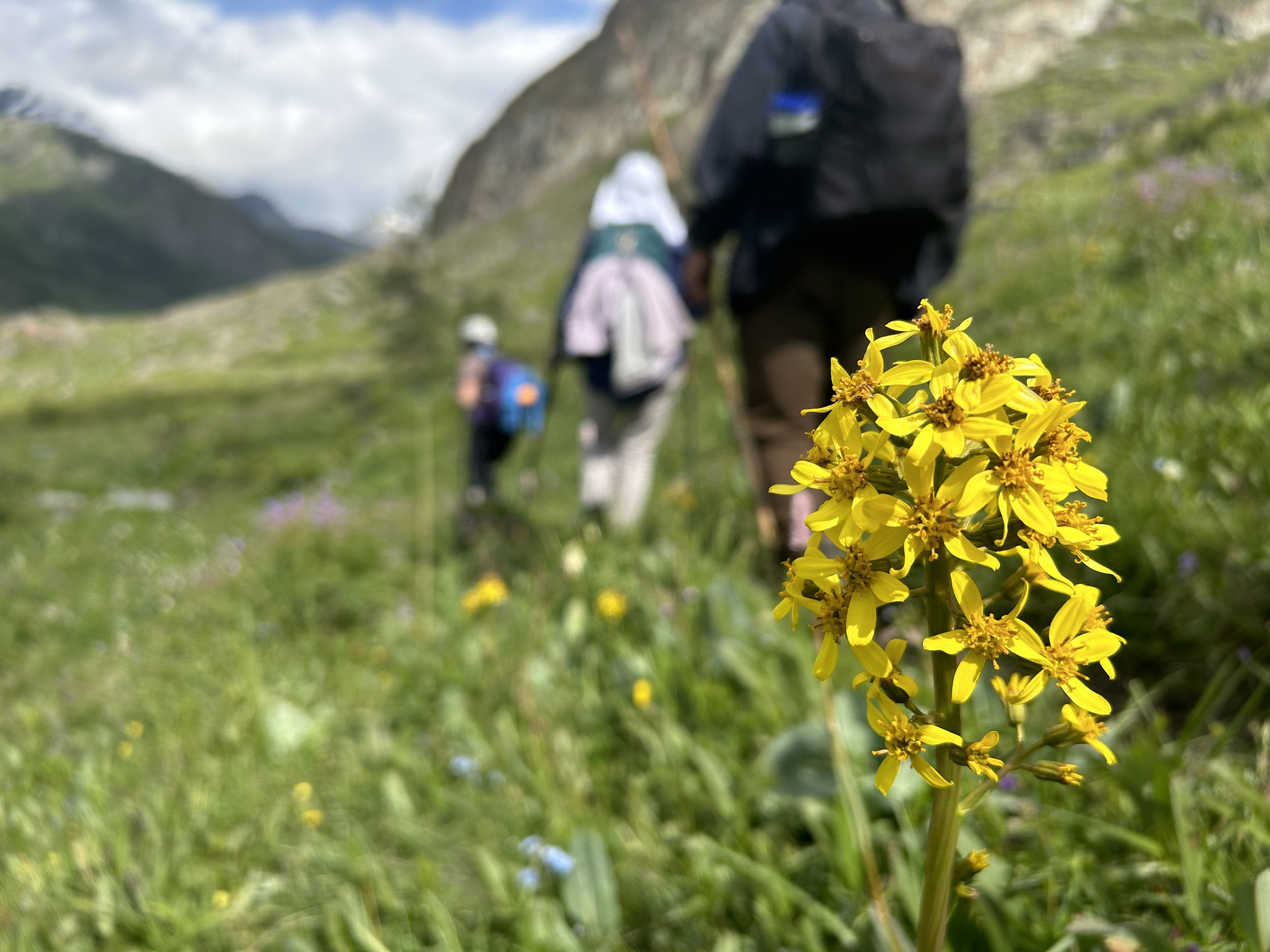 Mongolia Hiking.2023 1 1020.JPG