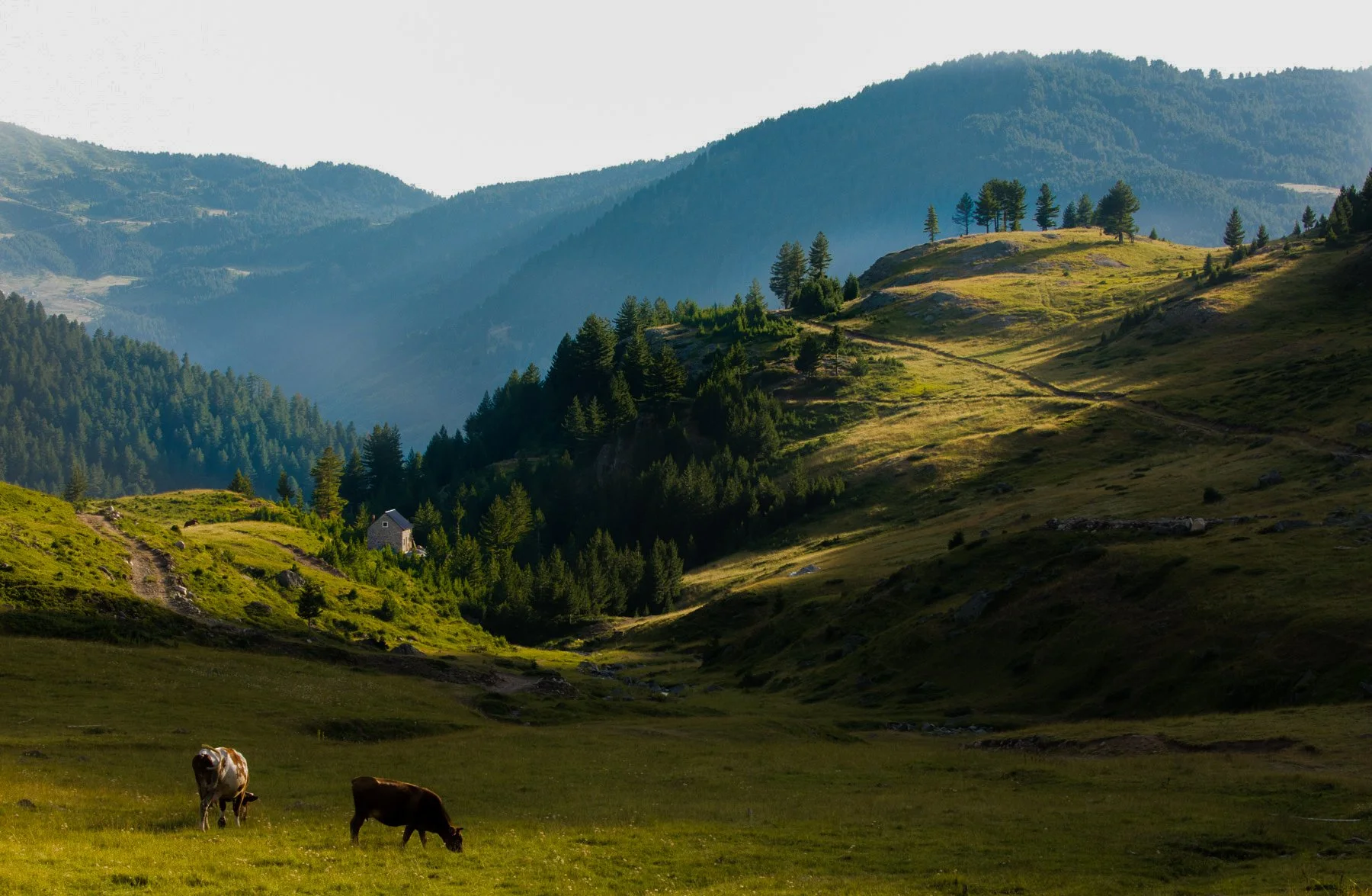 Peaks of Balkans 1002.jpg