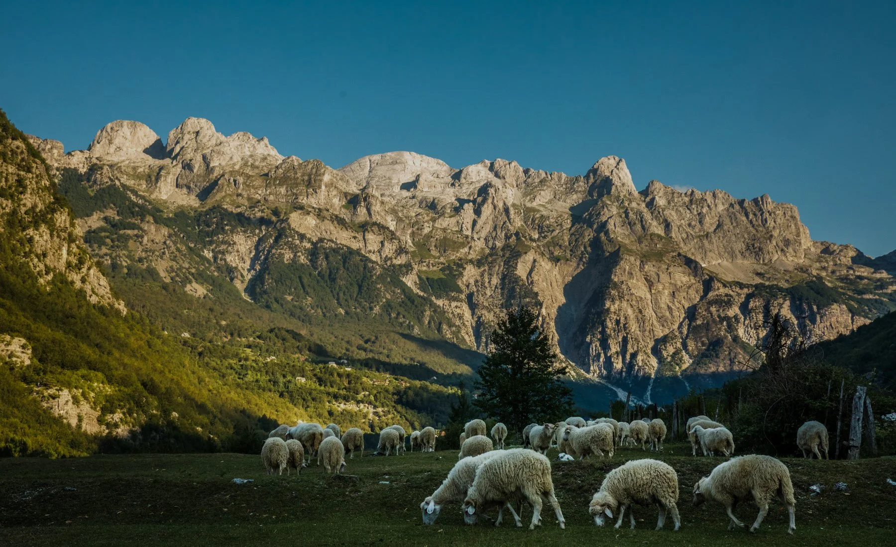 Peaks of the Balkans 1034.jpg