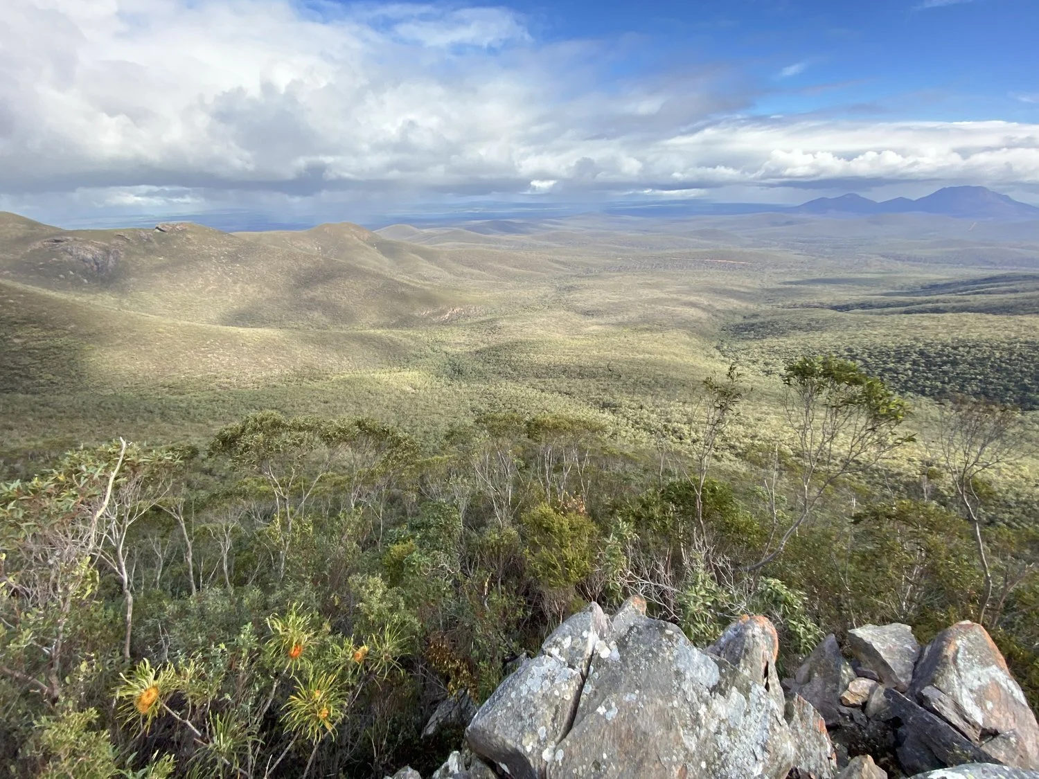 Walking with Wildflowers - Stirling Ranges & Fitzgerald Biosphere