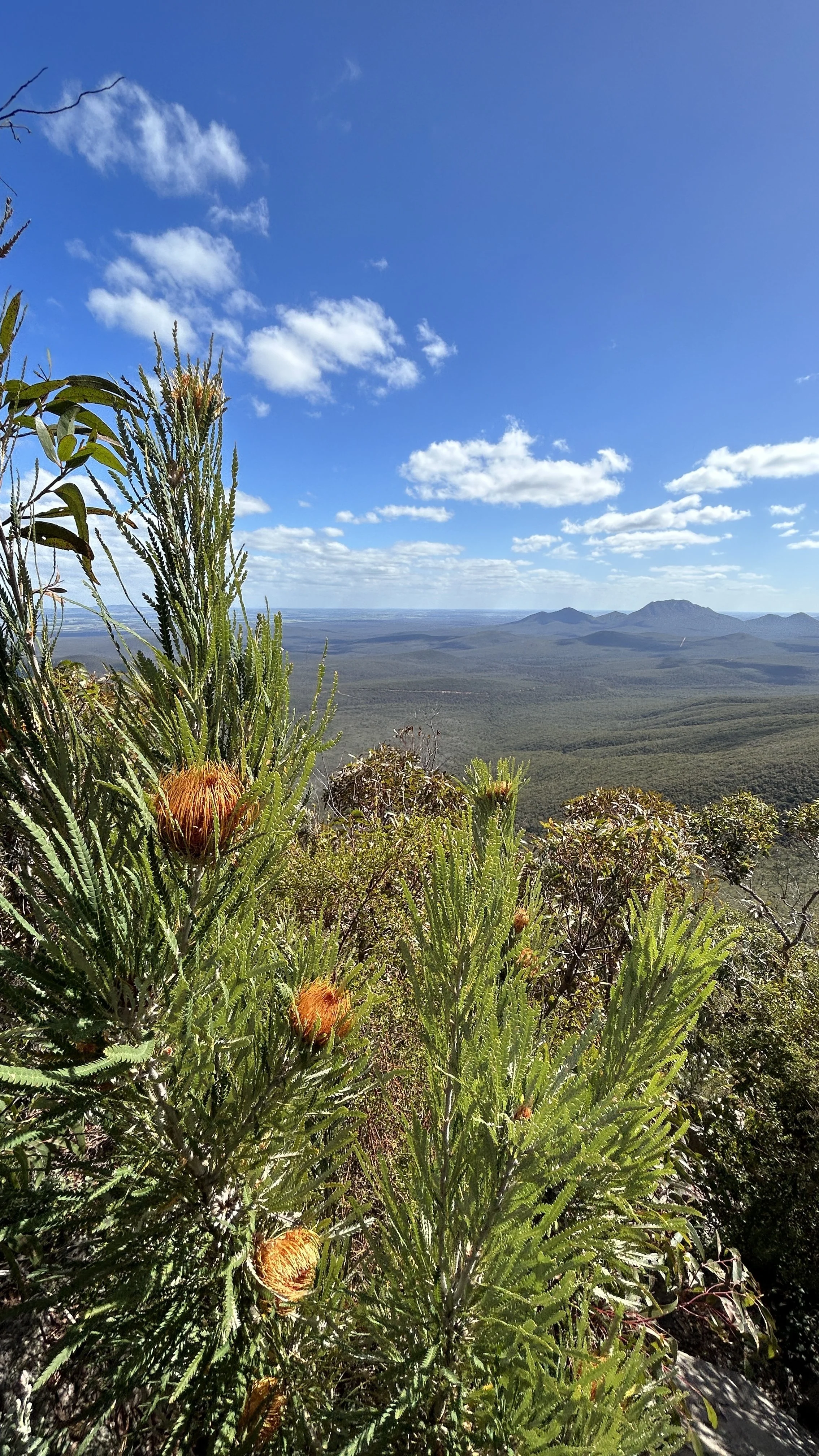 Stirling Range National park.JPG