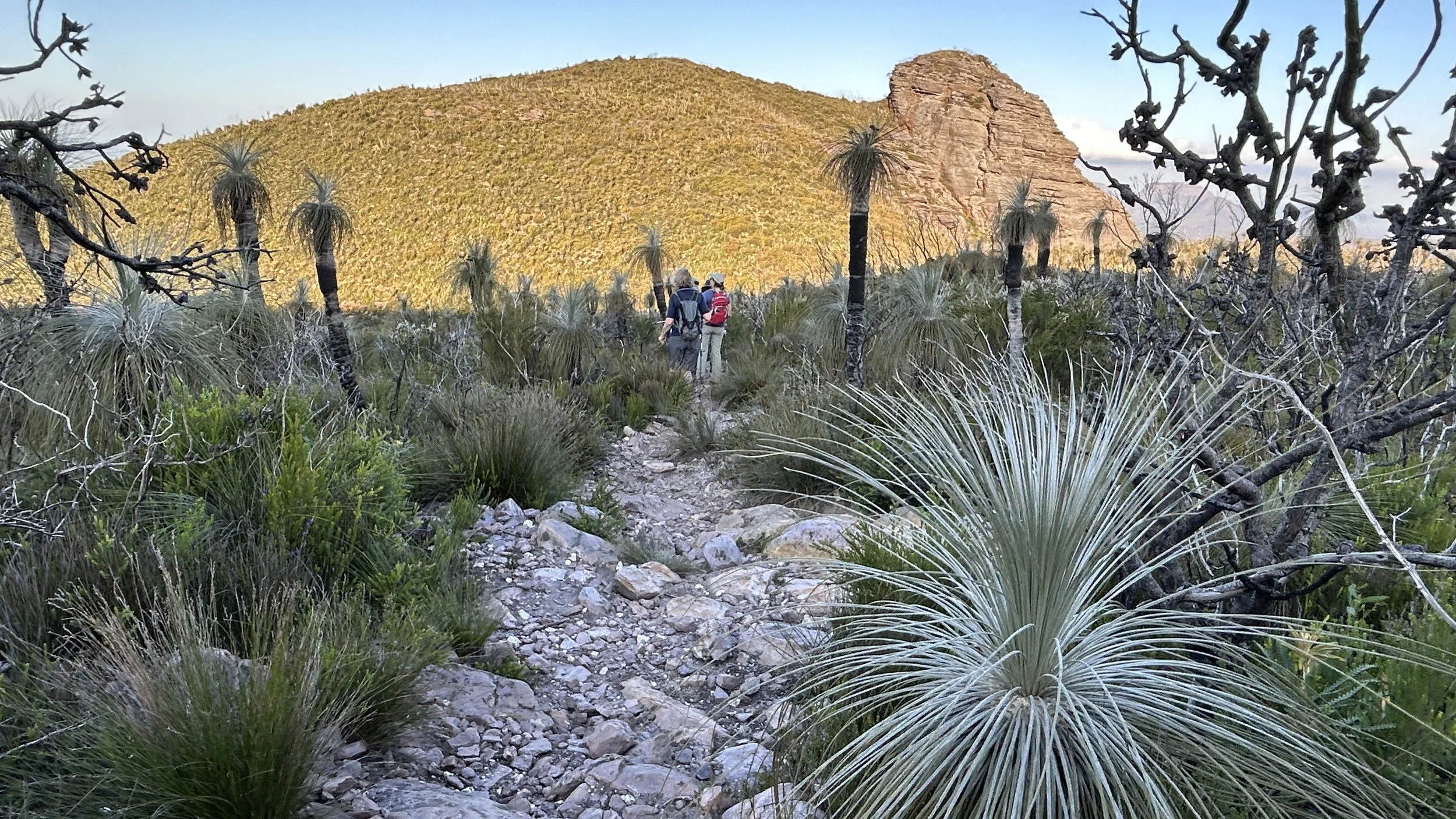 Mt Trio Oct 2023 4 .JPG