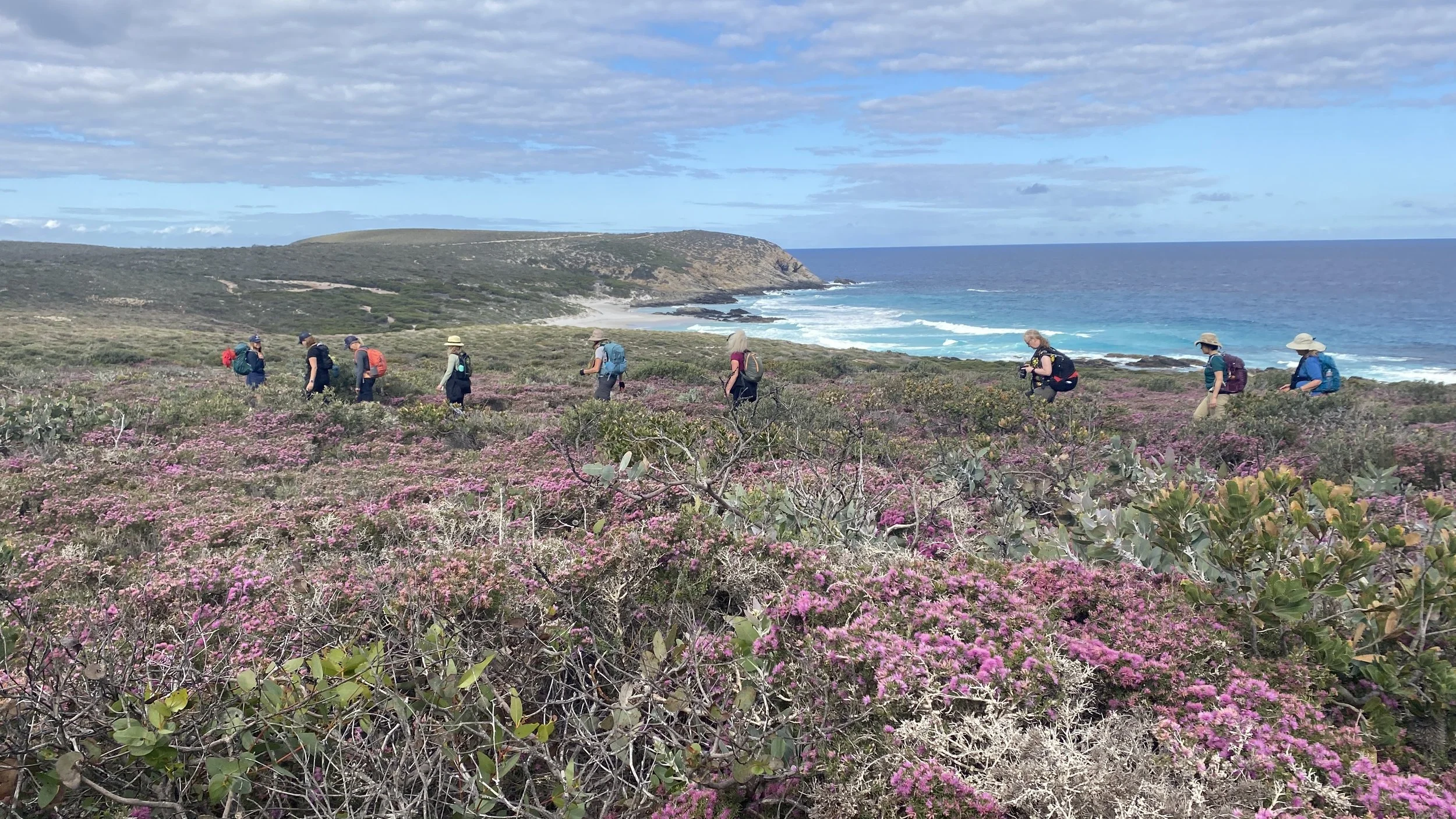 HAKEA TRAIL.jpg