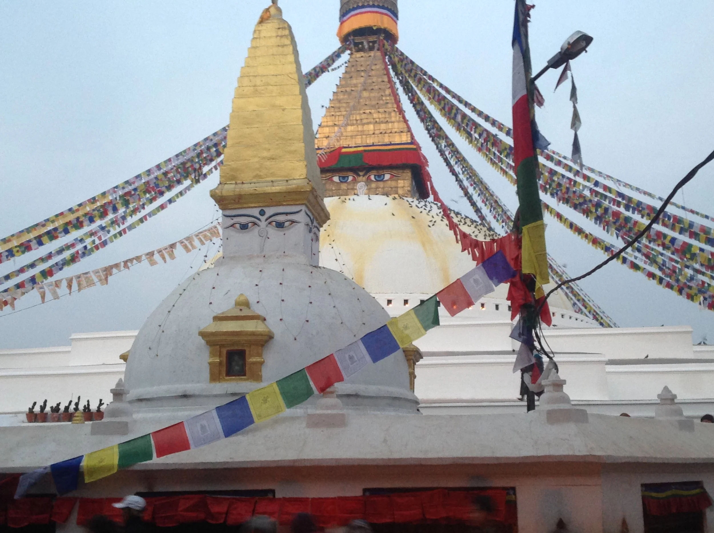 kathmandu 2015 5.JPG