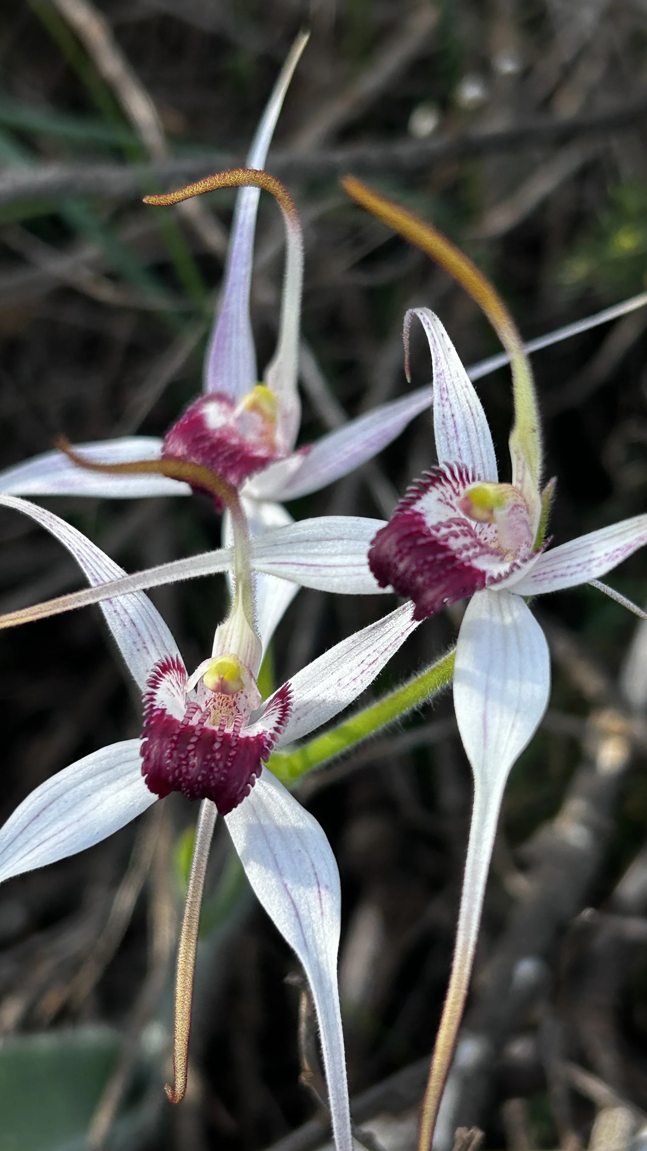 Cape to Cape Sept 24 46.JPG