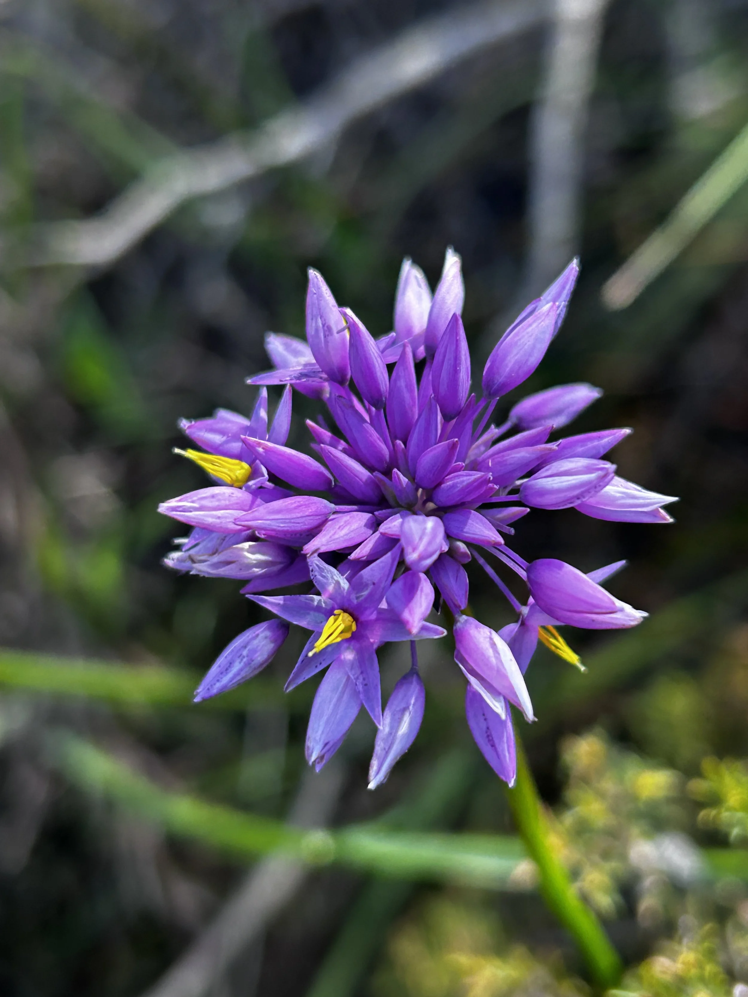 Cape to Cape Sept 24 51.JPG