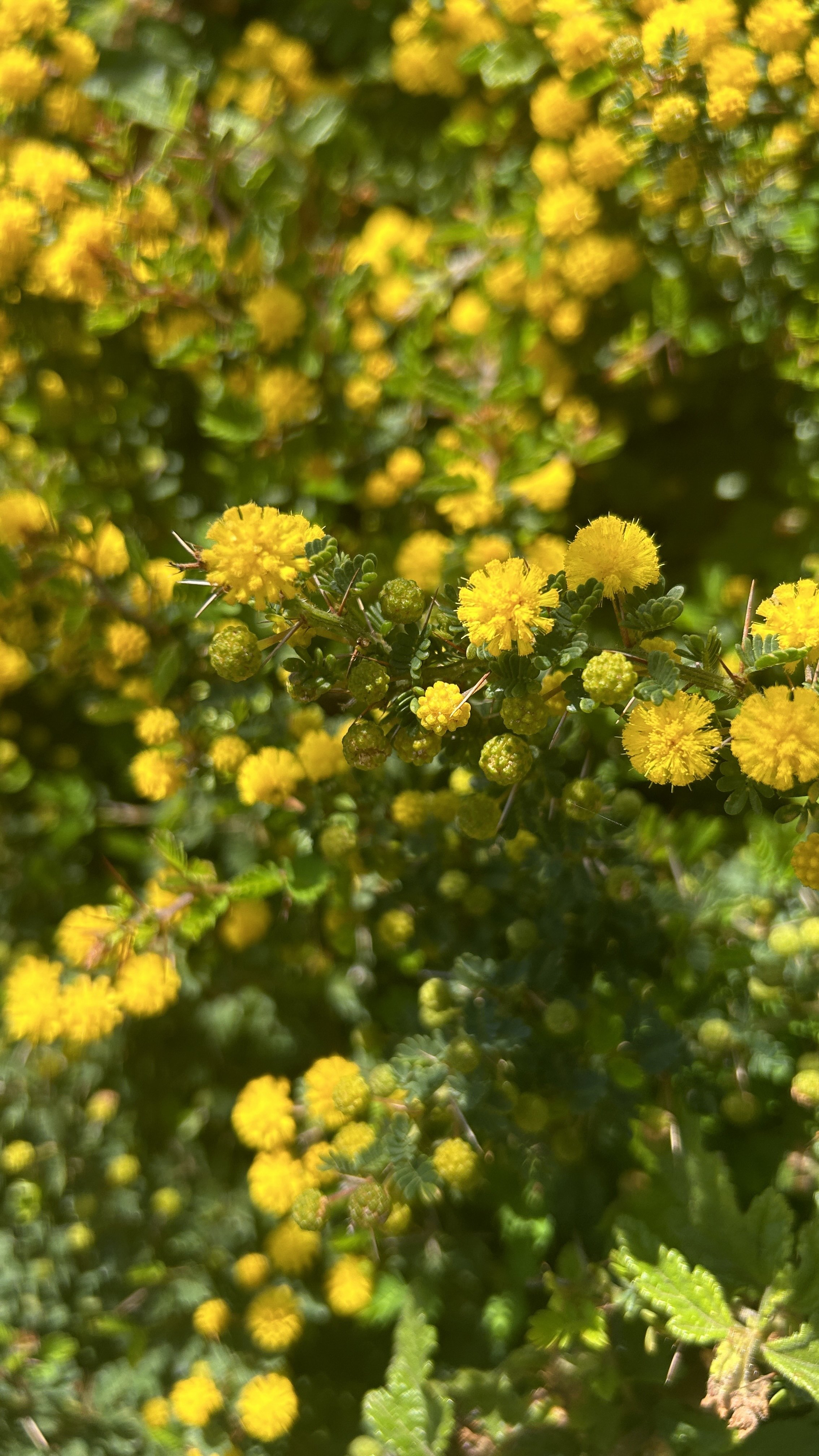 Cape to Cape Sept 24 37.JPG