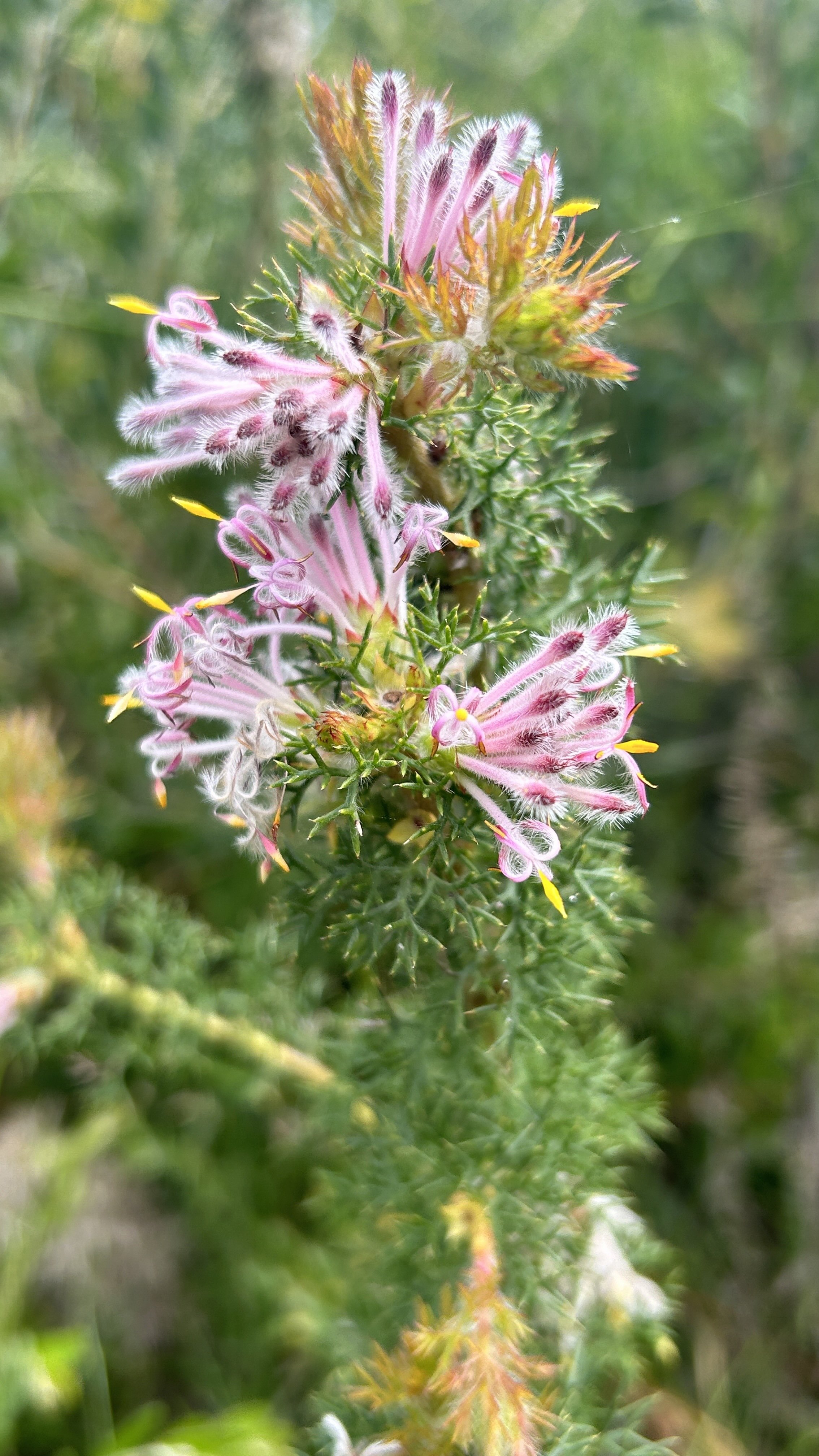 Cape to Cape Sept 24 33.JPG