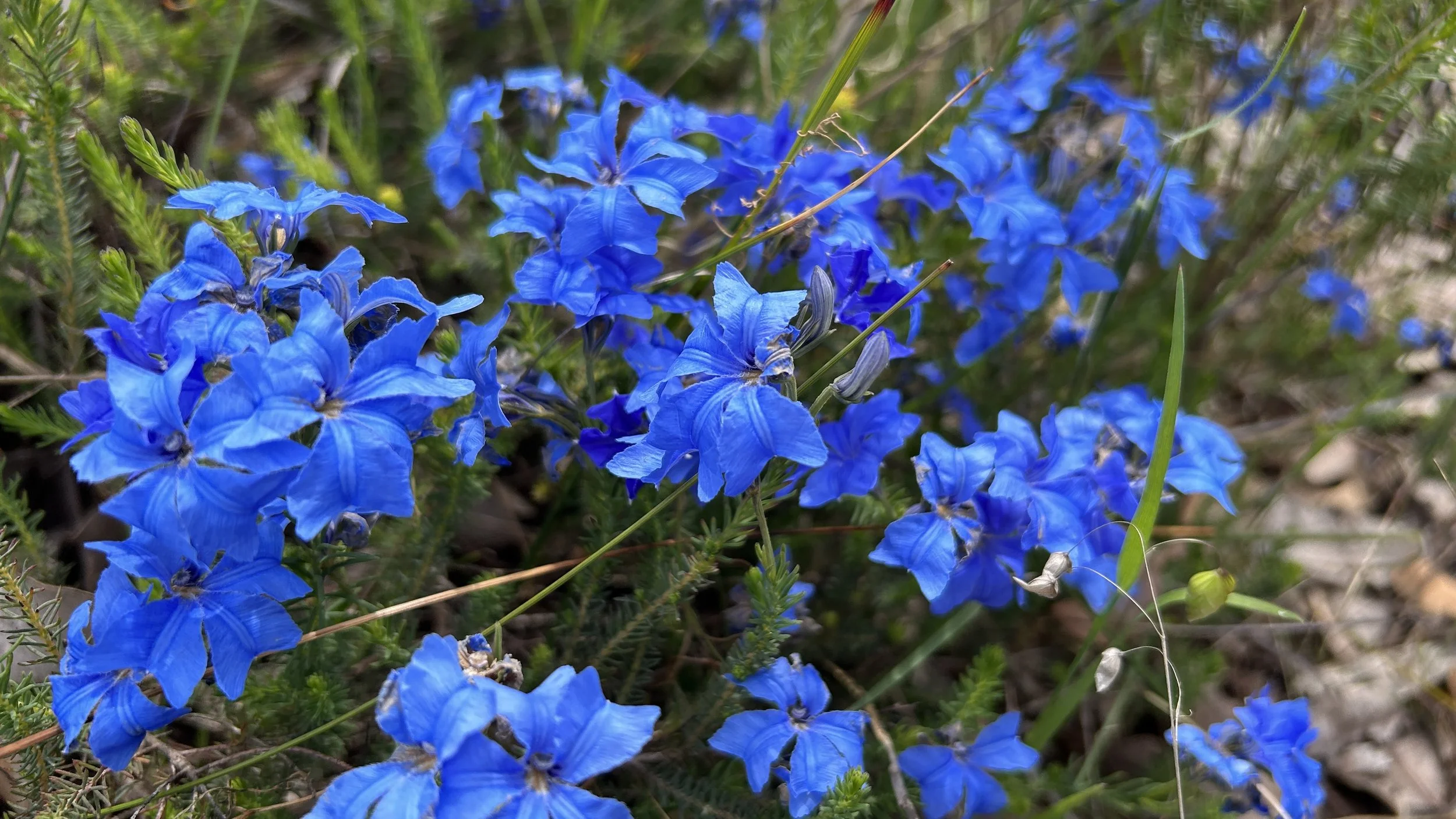 Cape to Cape Sept 24  15.JPG