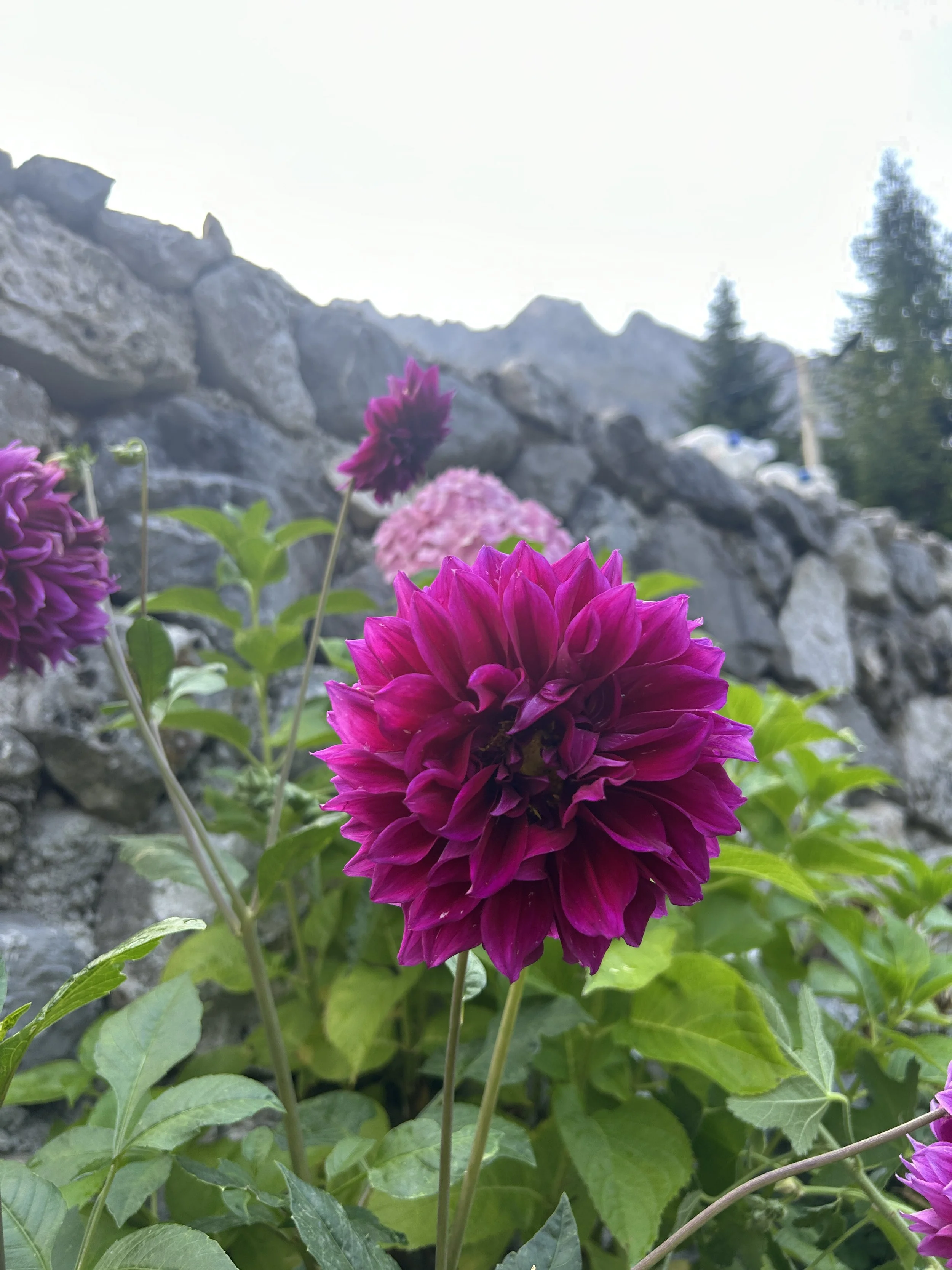 Peaks of the Balkans 2025 190.JPG