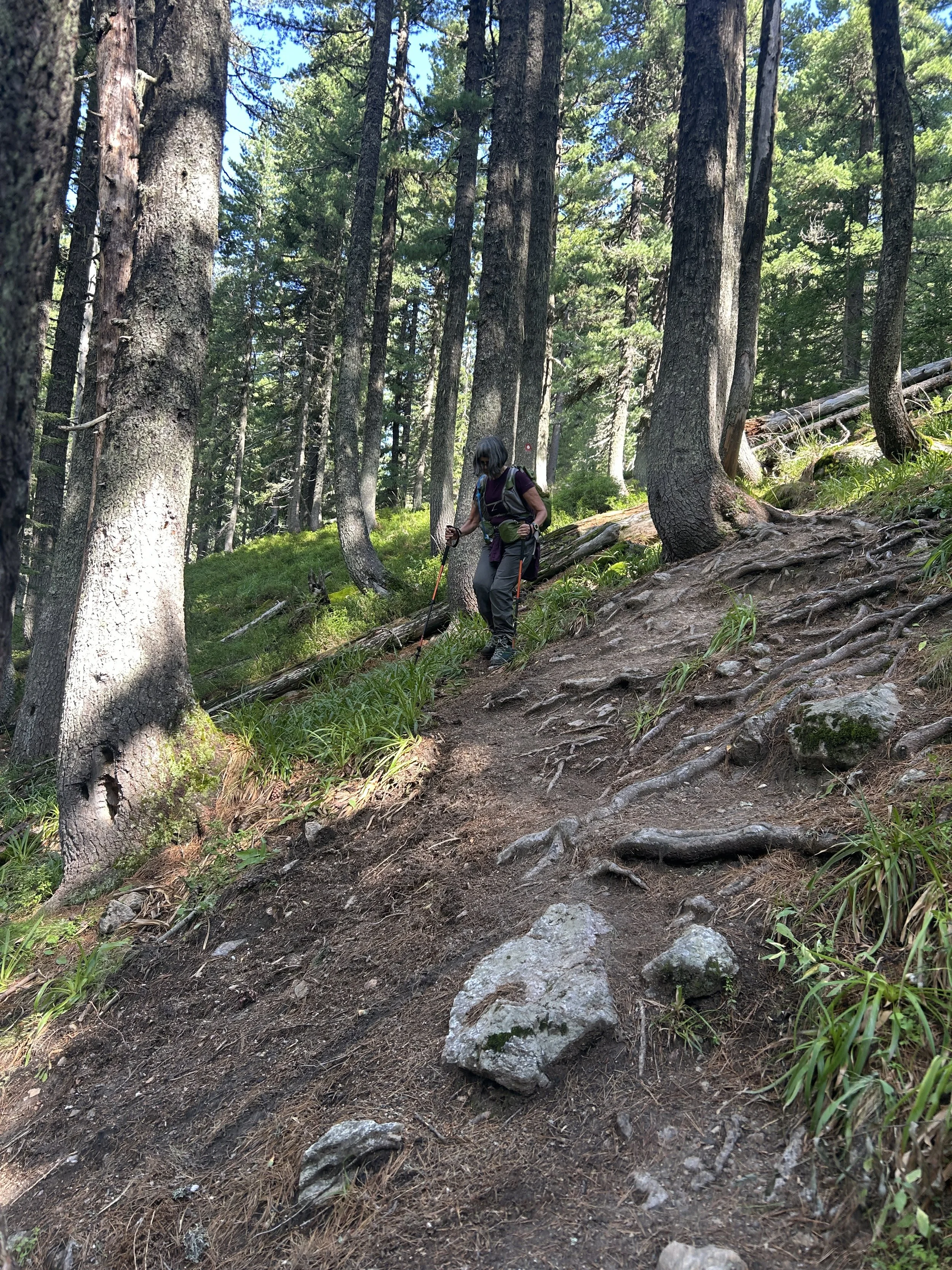 The Peaks of the Balkans Trail 