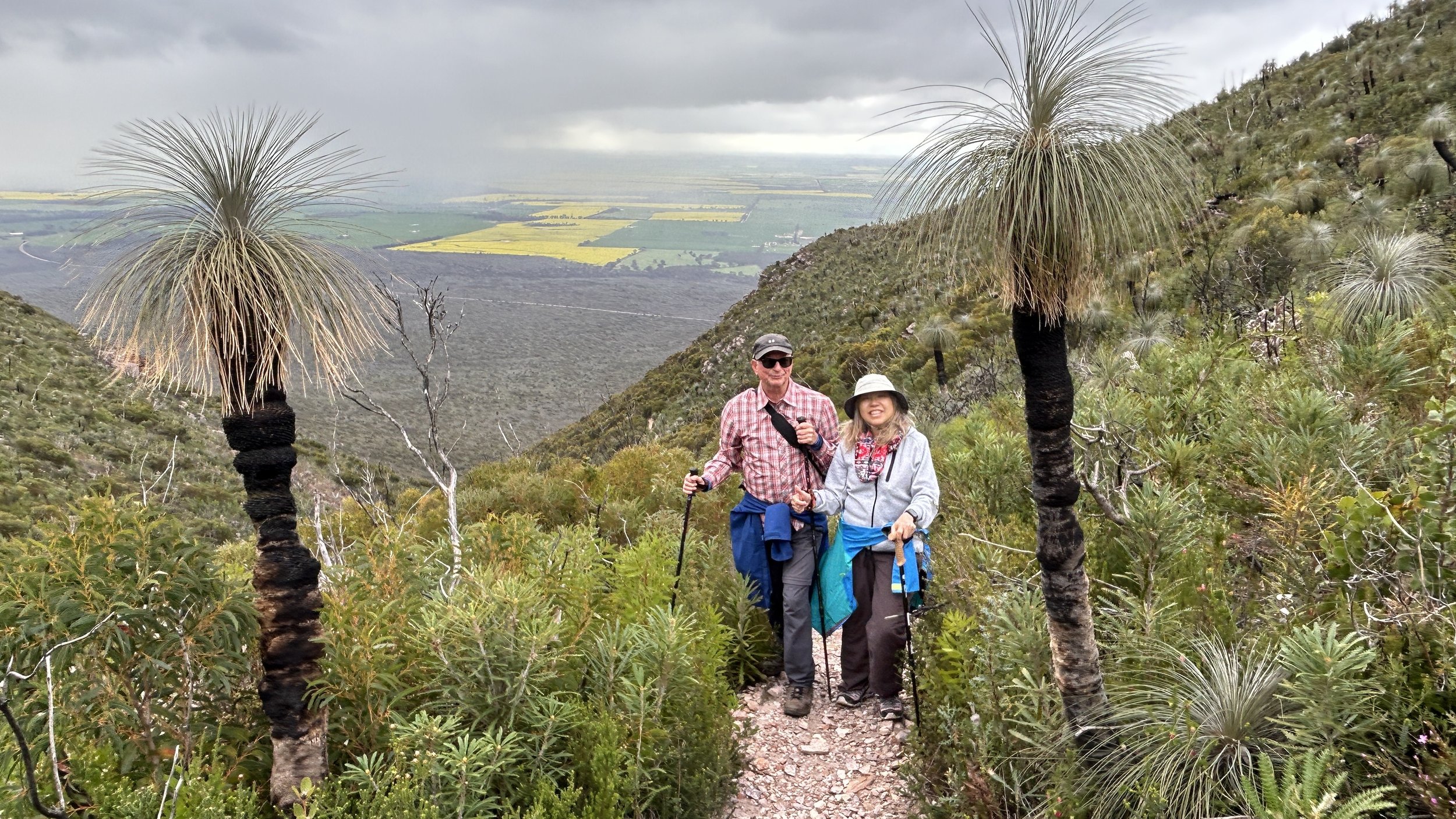 Wildflowers Stirling Ranges 24 3.JPG