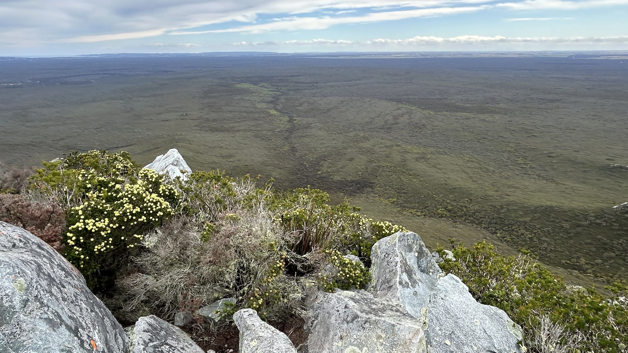 West Mt Barren 2024 8.jpg
