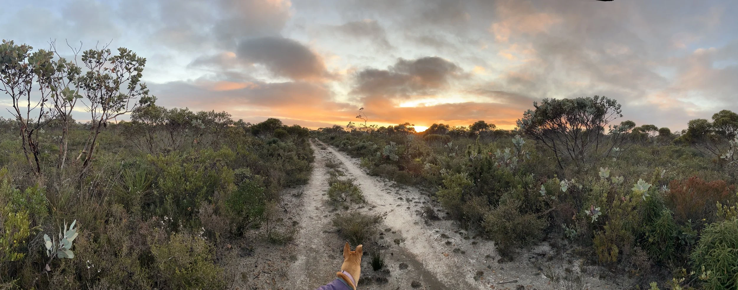 Tozer's Bush Camp 1.JPG