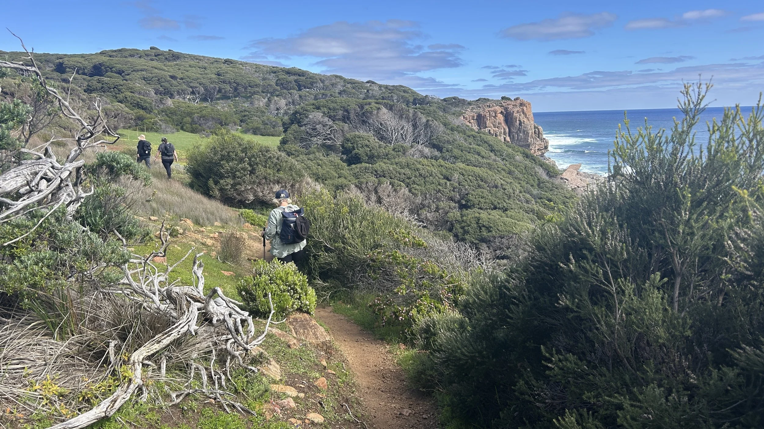 Cape to Cape Sept 2025 4.JPG