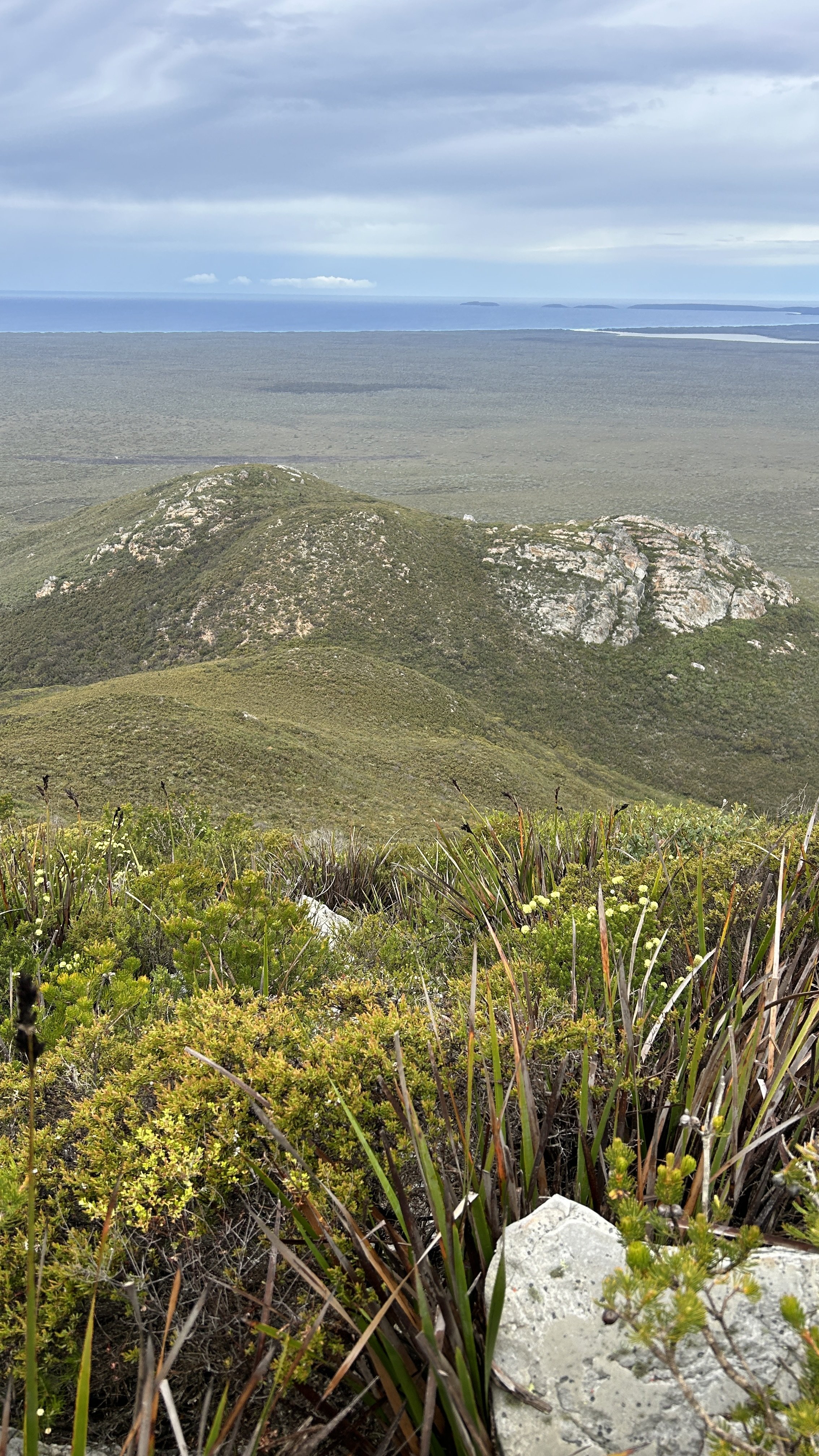 West Mt Barren 2024 3.jpg
