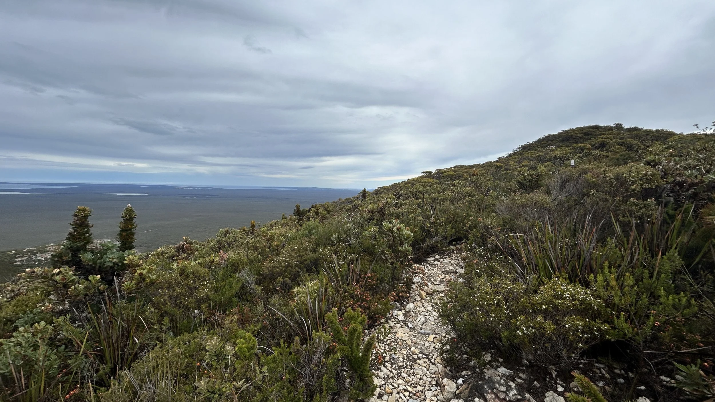 West Mt Barren 2024 10.jpg