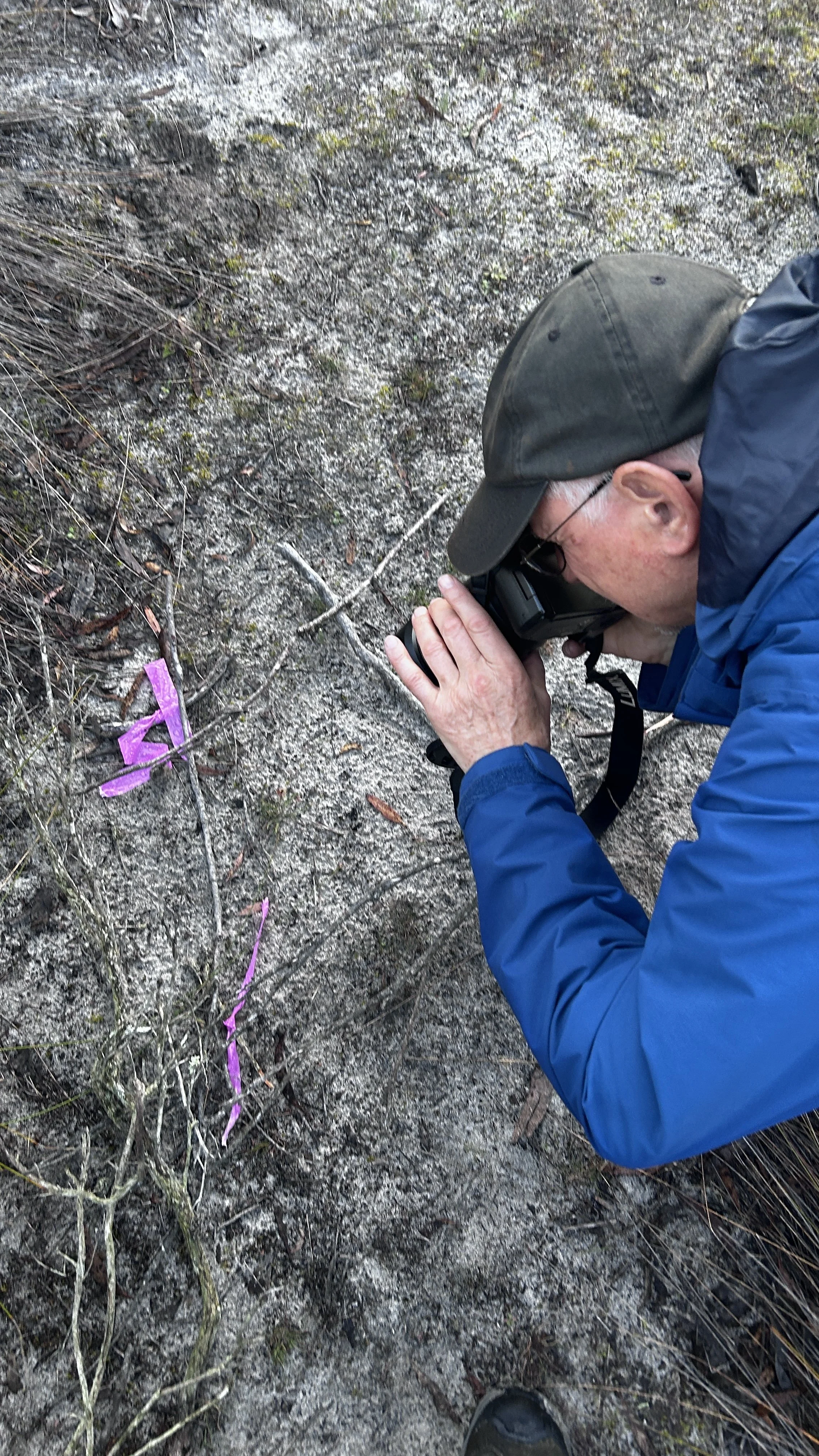 WA WIldflowers 2024 Biodiversity 1.JPG