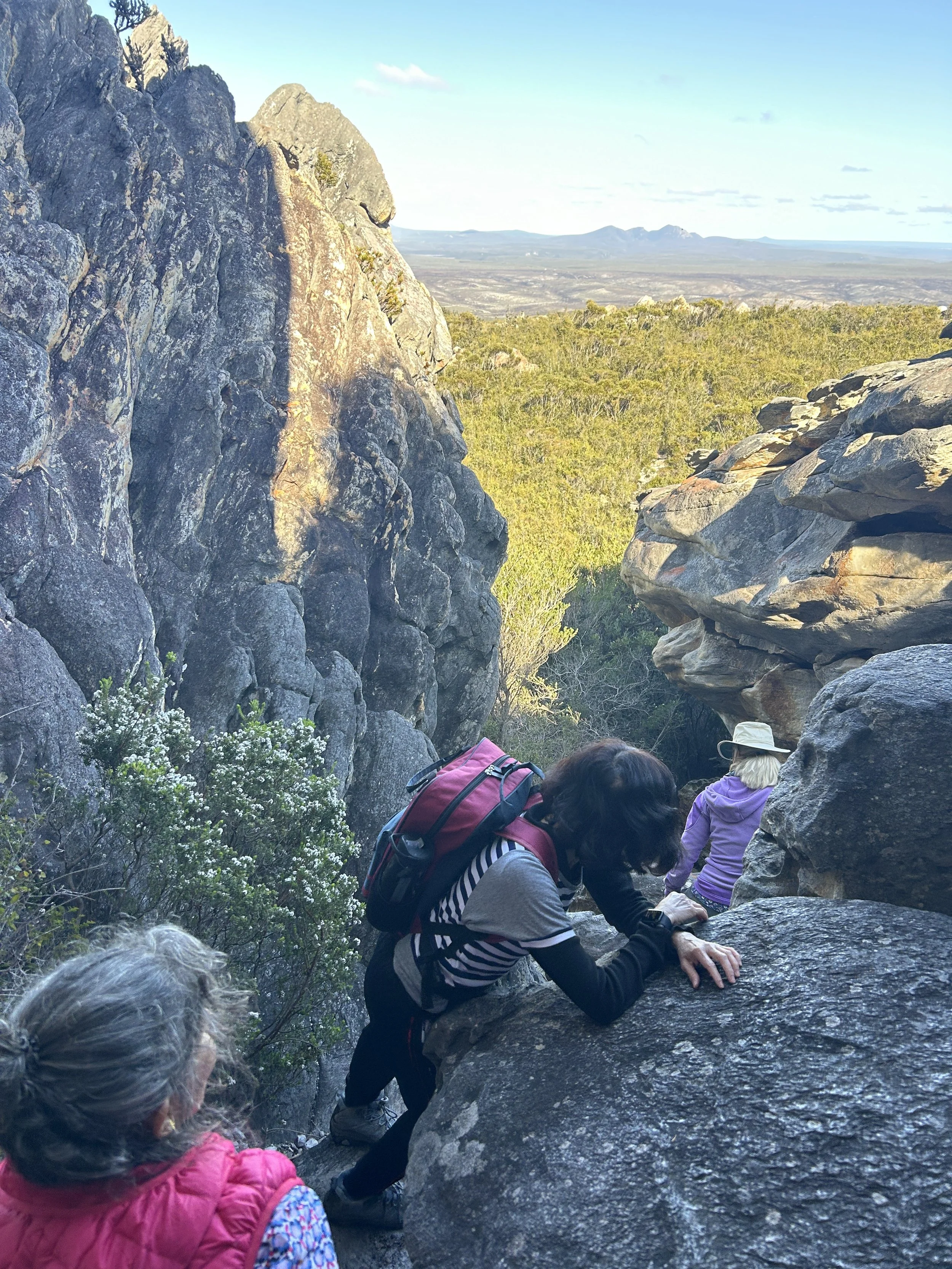 East Mt Barren 2024 1.JPG
