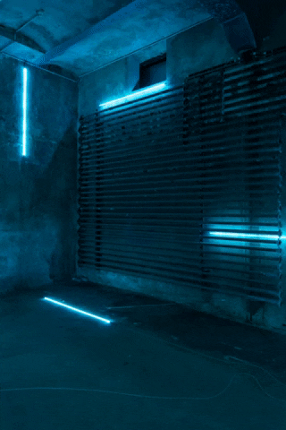 Zentrum für Internationale Lichtkunst.gif