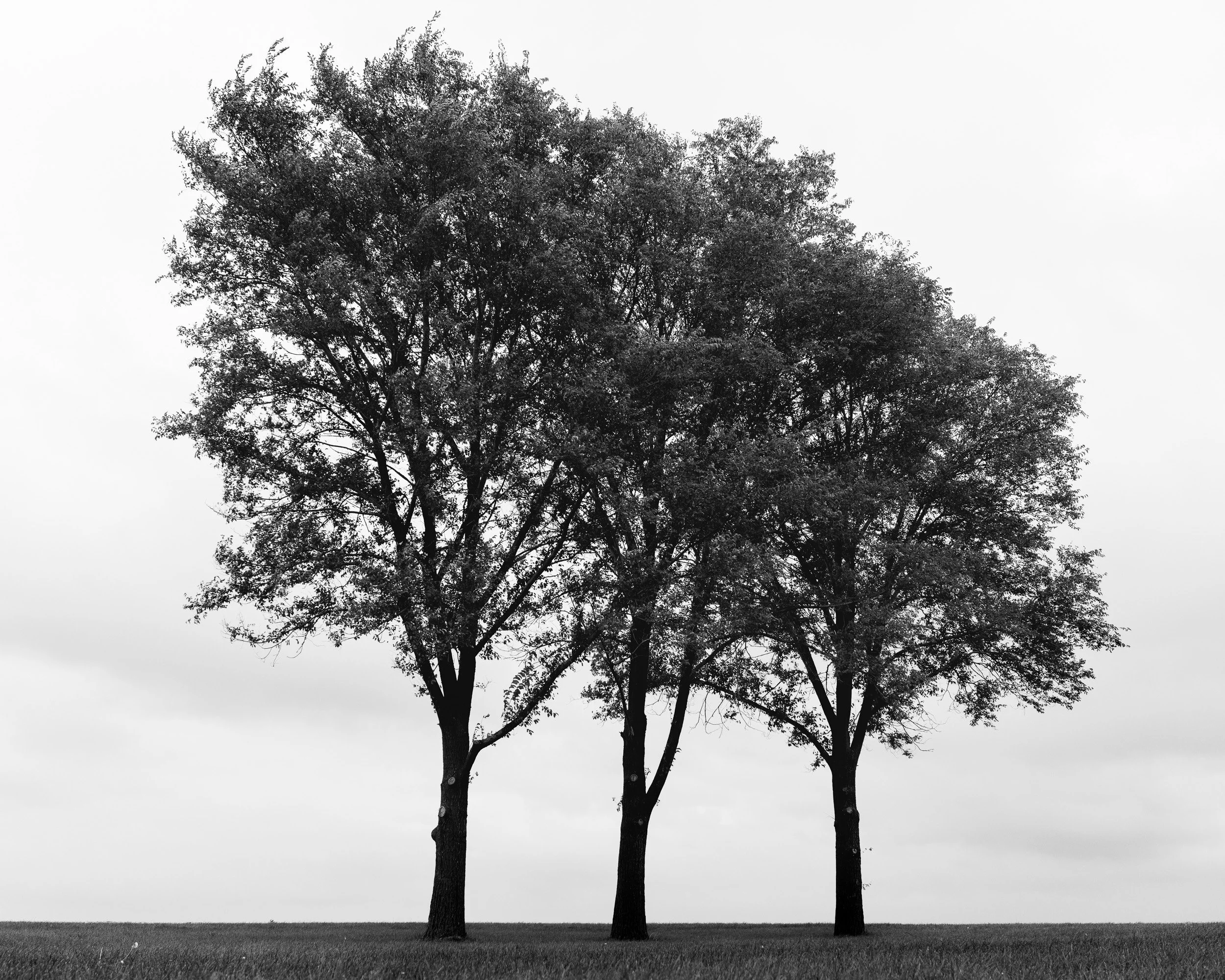 Website Hero Images-6.jpg