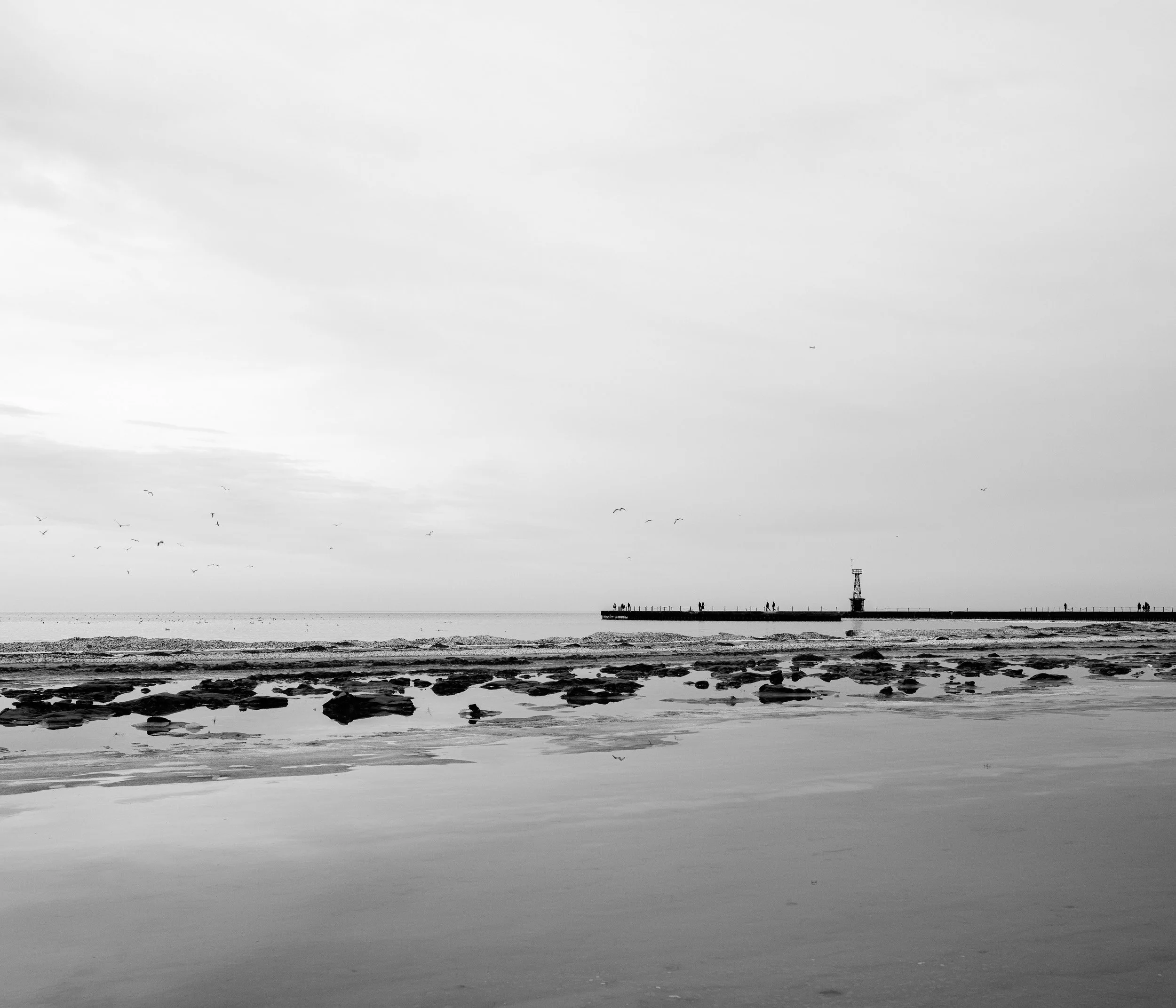 Website Hero Images-11.jpg