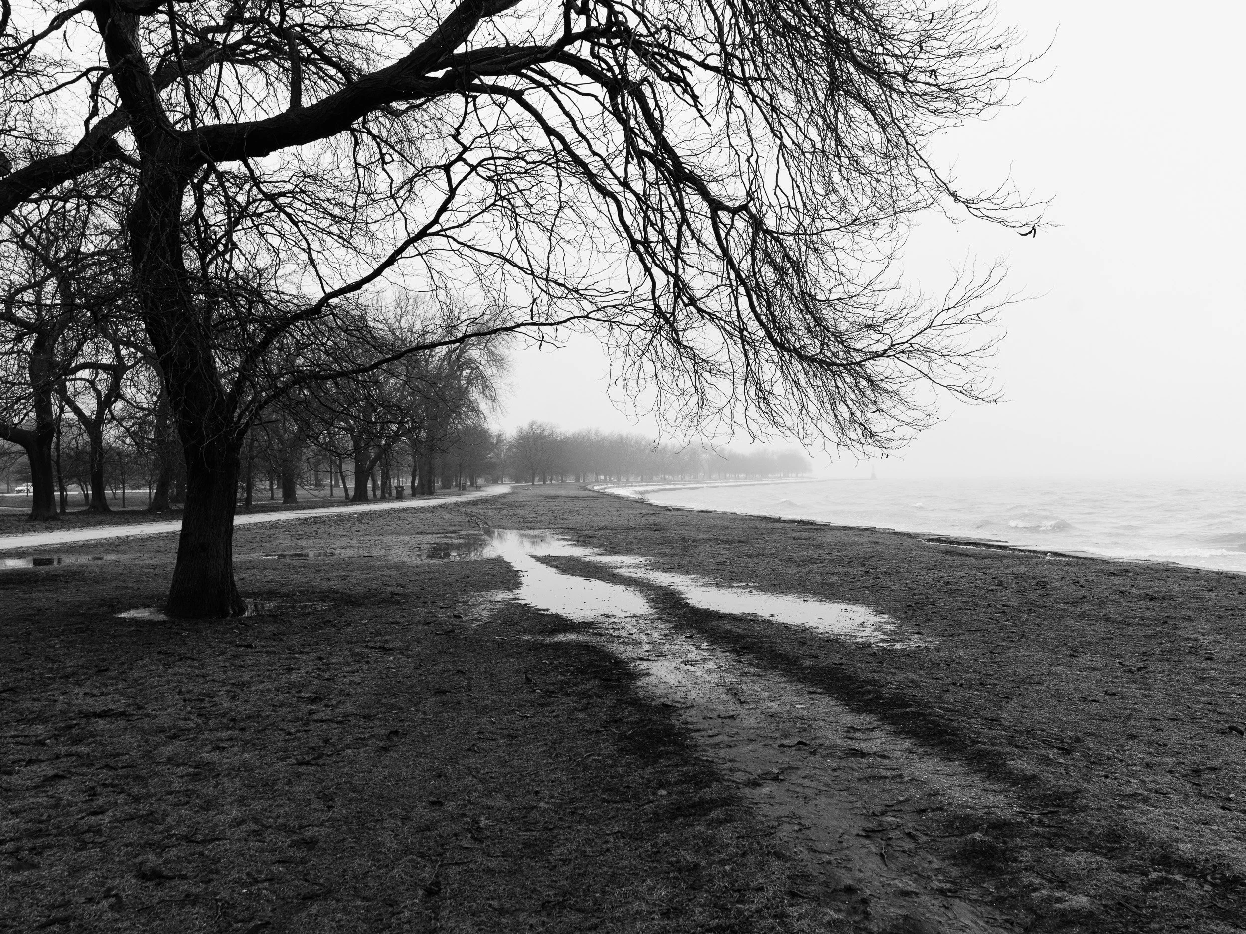 Website Hero Images-2.jpg