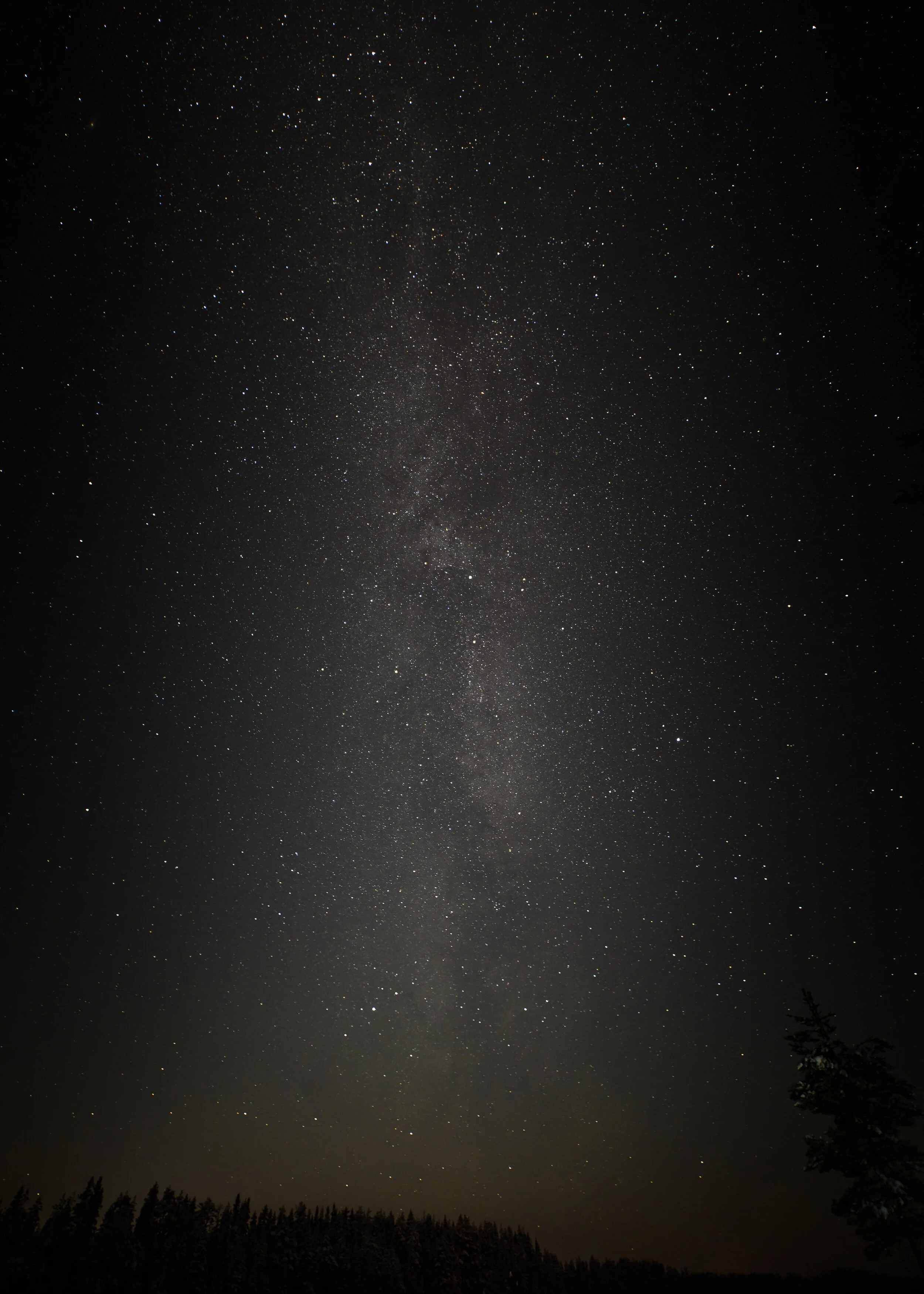 DSC_2741.jpg