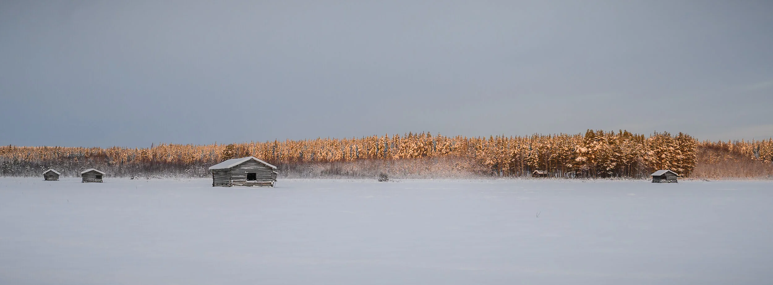 181226_10-50-23_DSC_3541_0.jpg