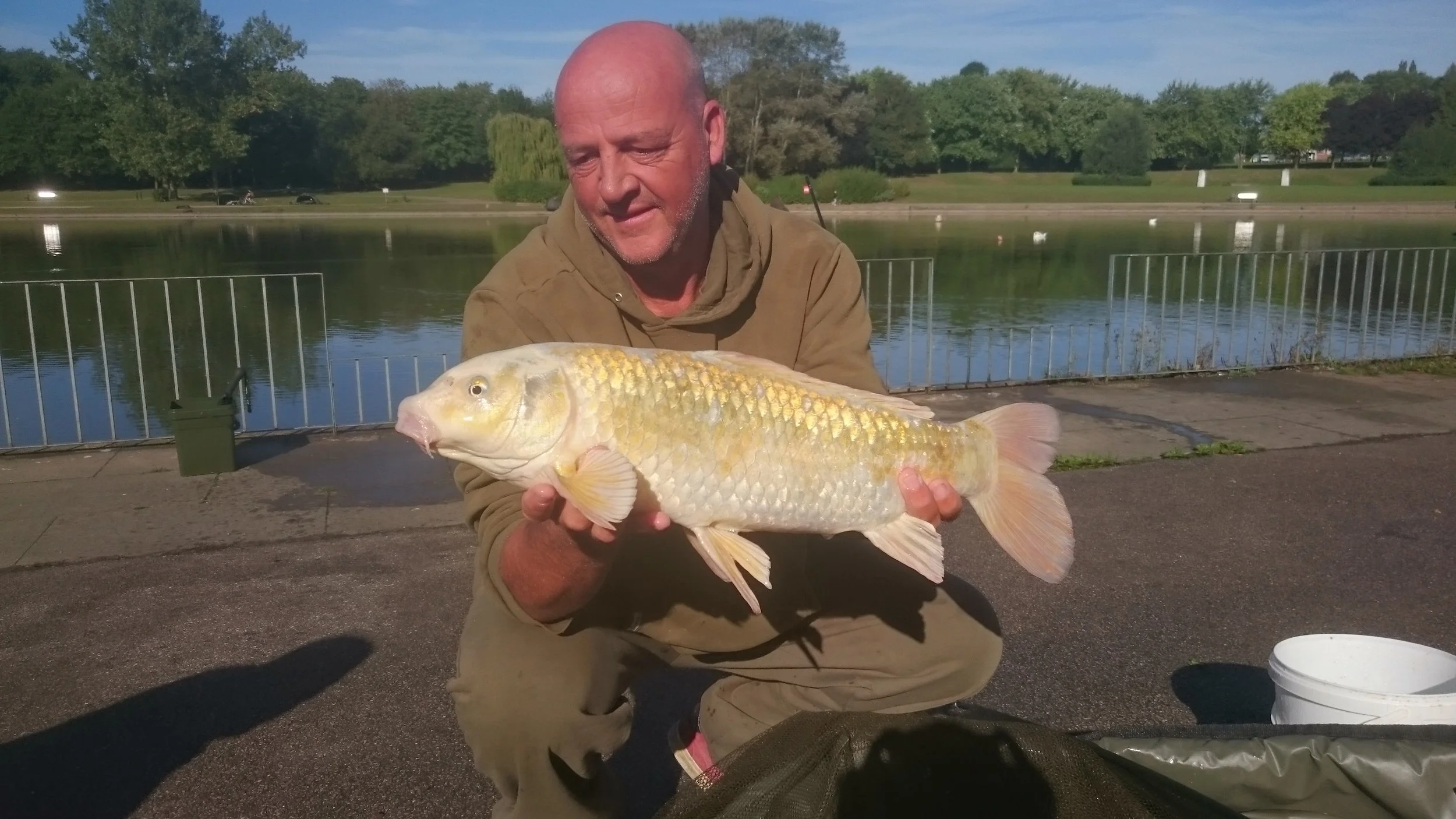 Fairlands Stevenage Kio Carp.JPG