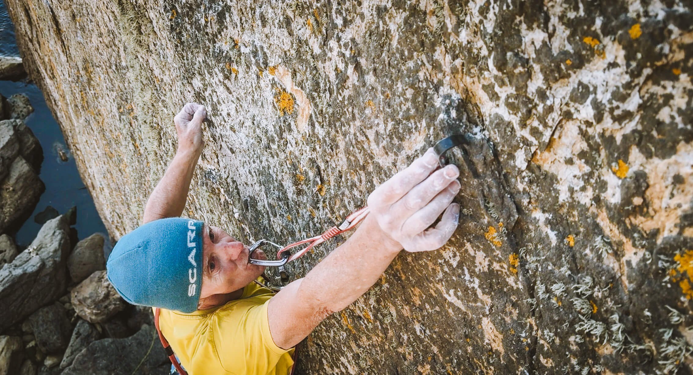 the bells thumbnail copy.jpg