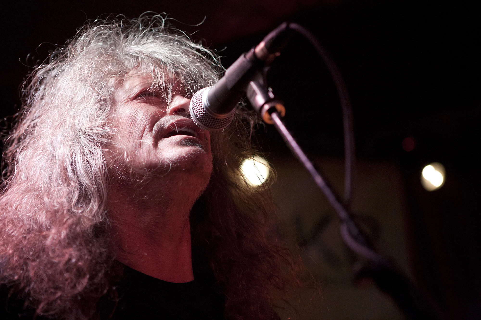 Meat Puppets