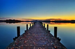 Psychotherapy / counseling