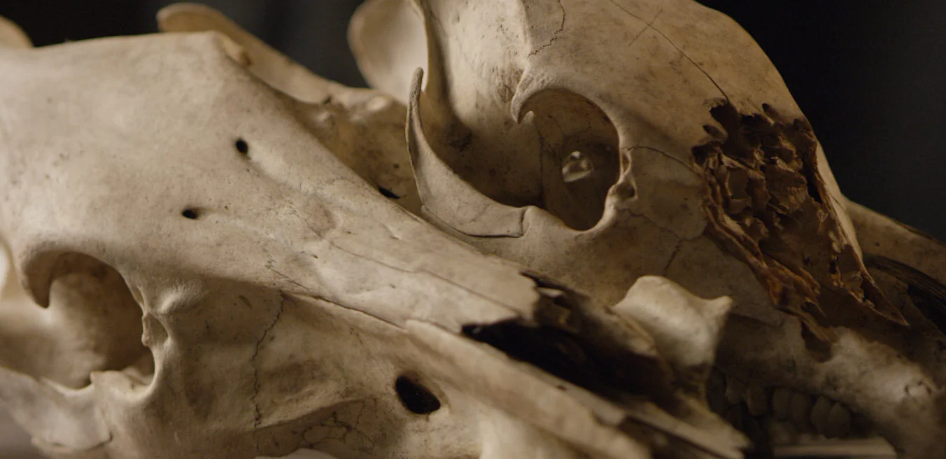 Schermata 2020-11-12 alle 01.57.04 copy.jpg