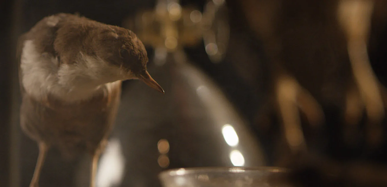 Schermata 2020-11-12 alle 01.57.26 copy.jpg