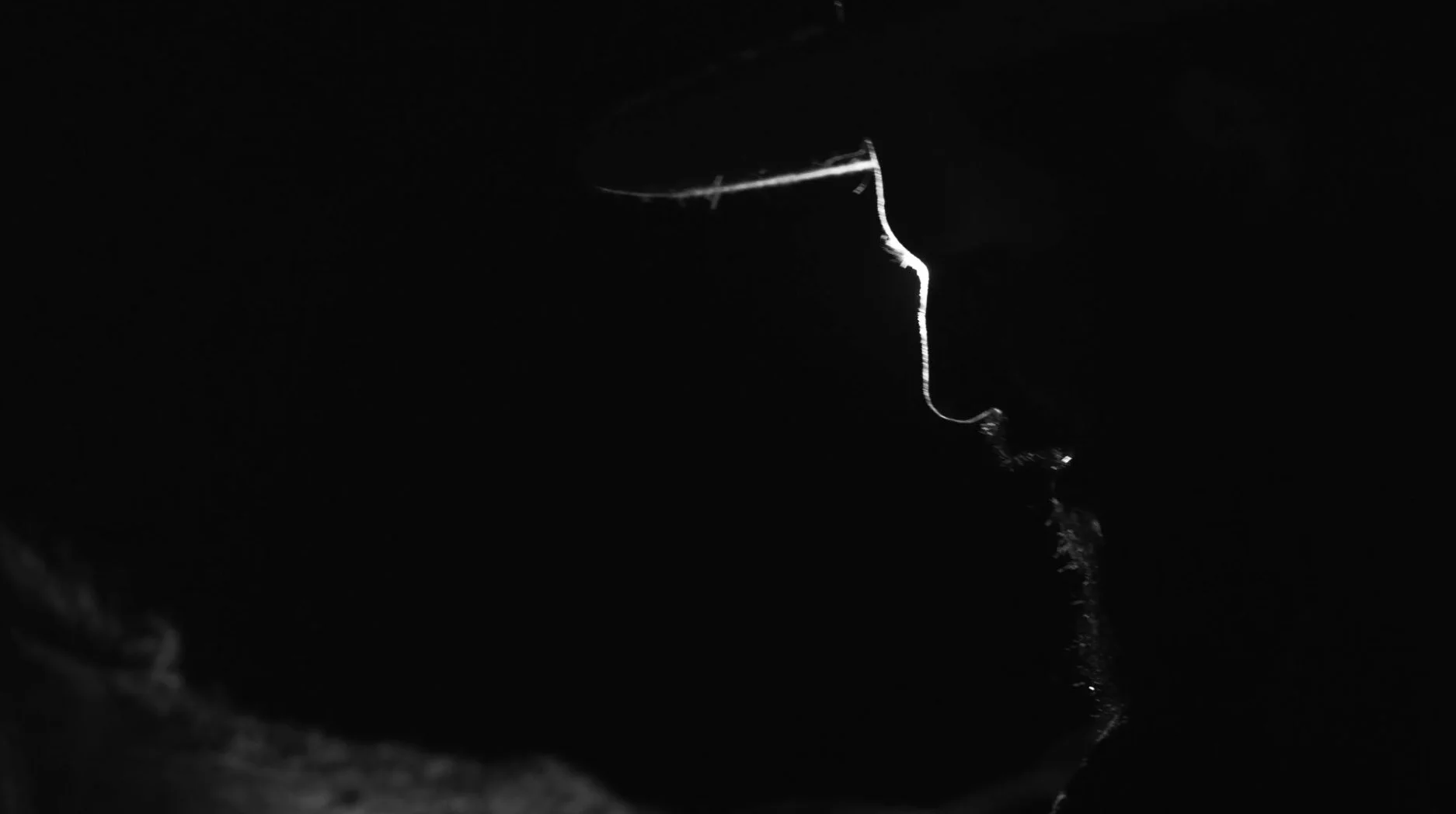 Schermata 2020-11-12 alle 08.47.01 copy.jpg