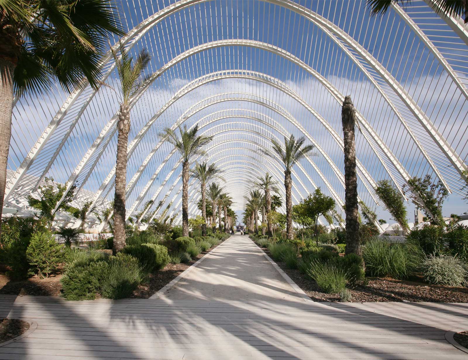 UMBRÁCULO VALENCIA