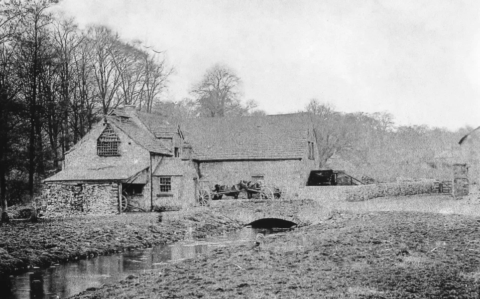 Grey Griffiths_Ashford Mill.jpg